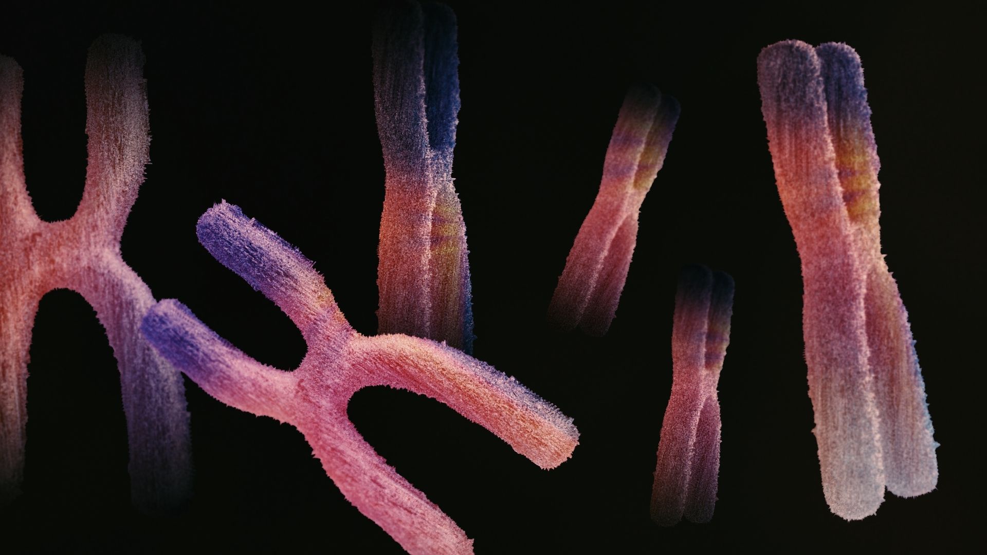 Một số loại ung thư có thể khởi phát do yếu tố di truyền