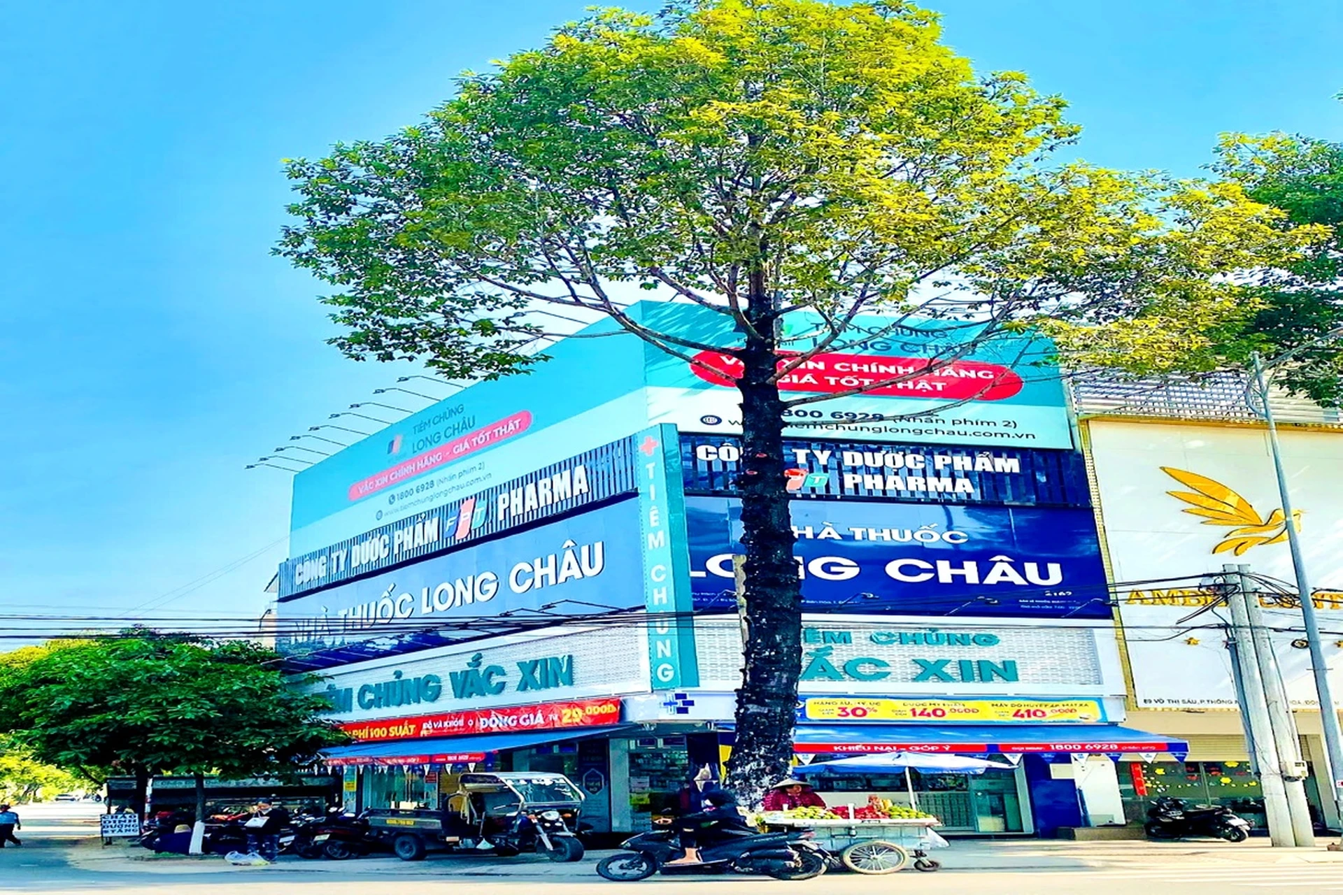 Hình ảnh trung tâm