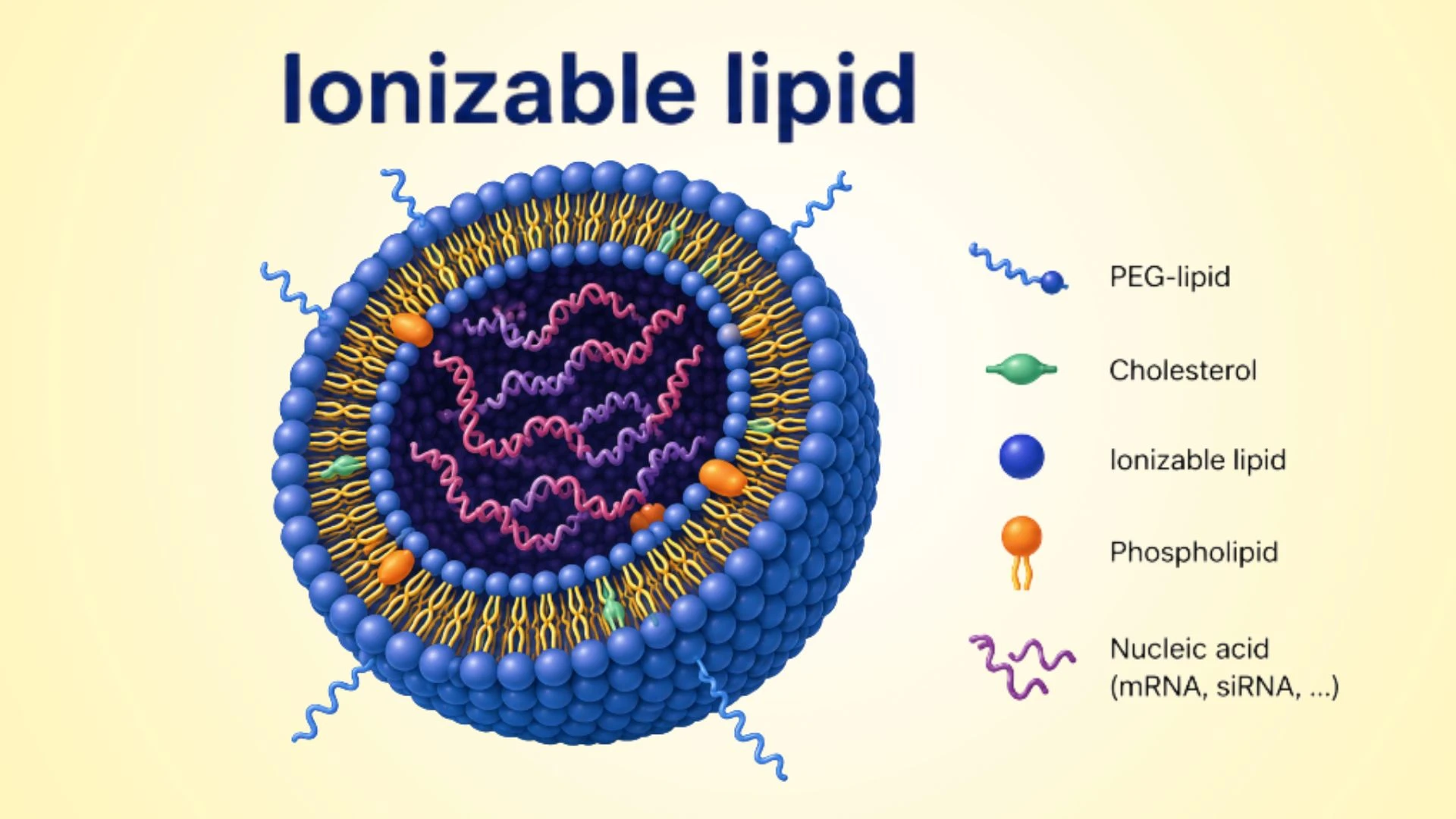 Ionizable_lipid_0_3d293d97dd