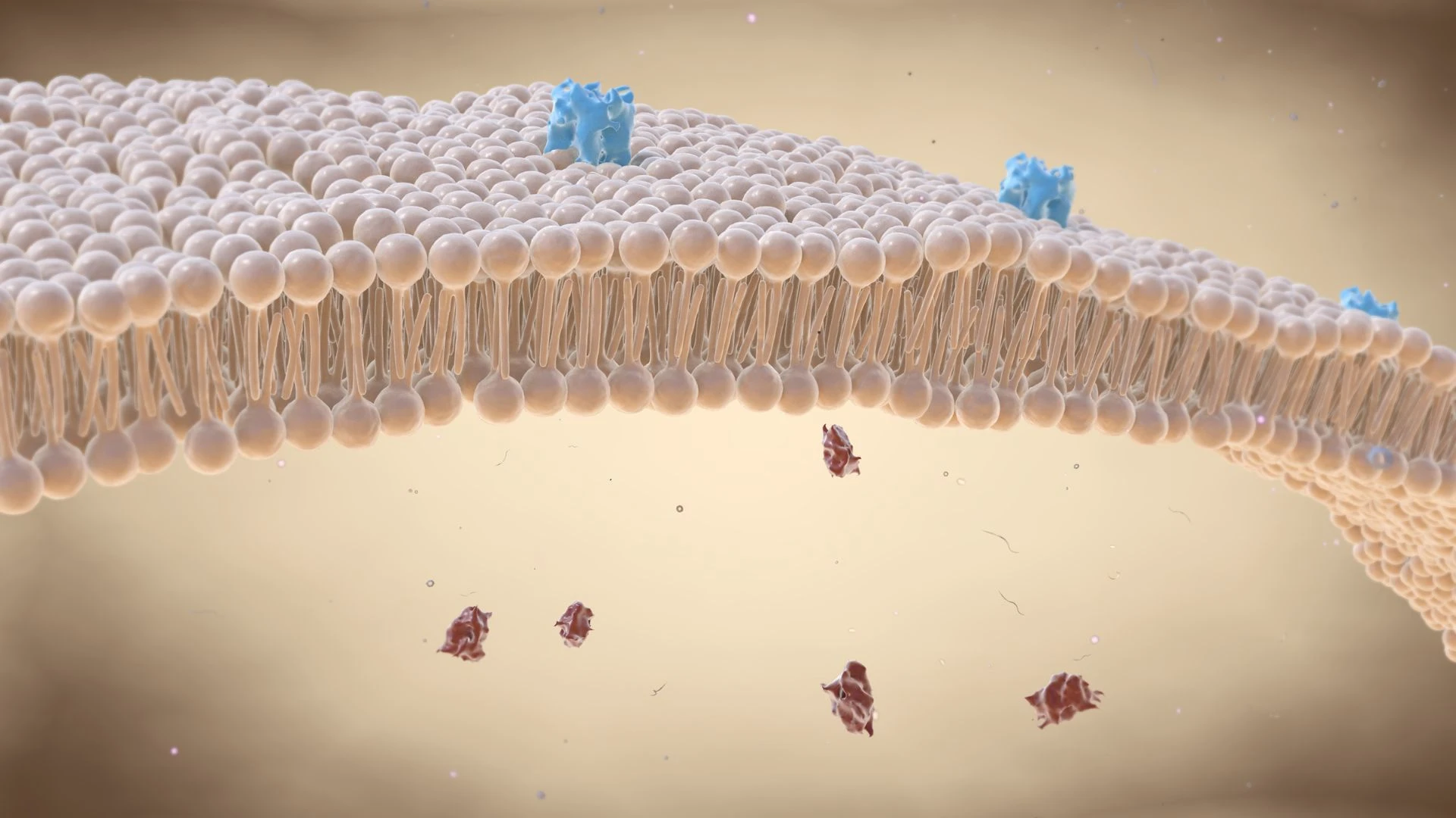Lipid nanoparticle là gì? Công dụng và ứng dụng của Lipid nanoparticle trong y học