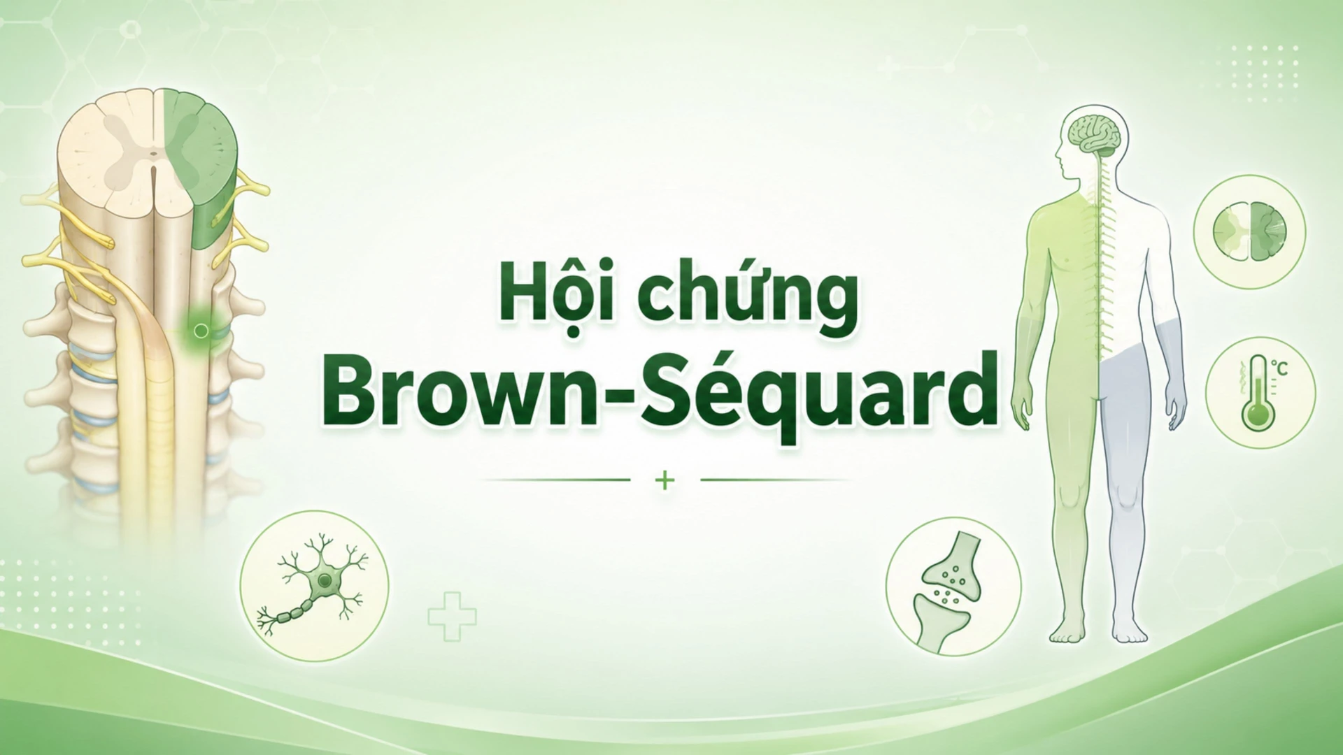 benh_a_z_hoi_chung_brown_sequard_1_02a57bc83b