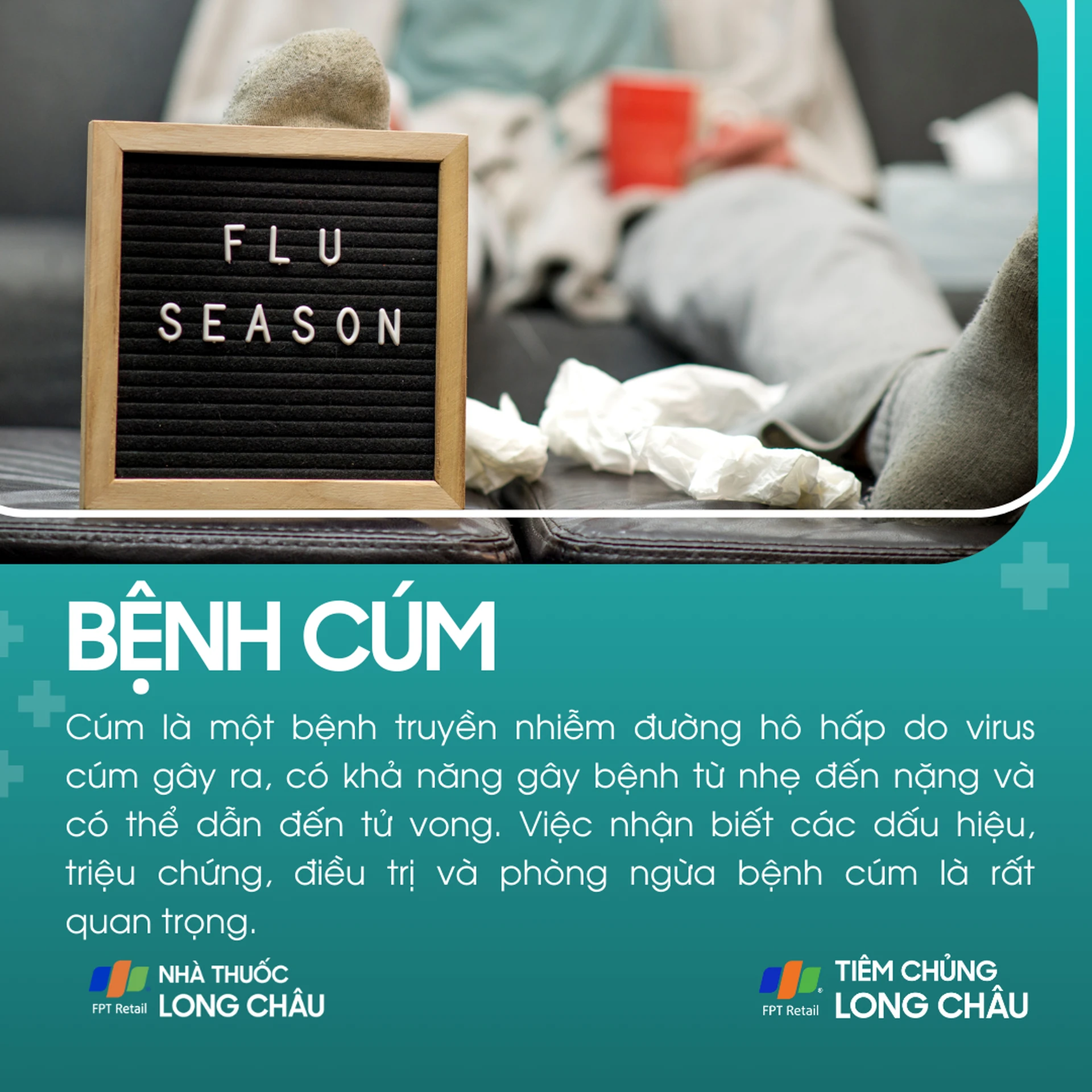 benh_cum_1_83a70cbd7b