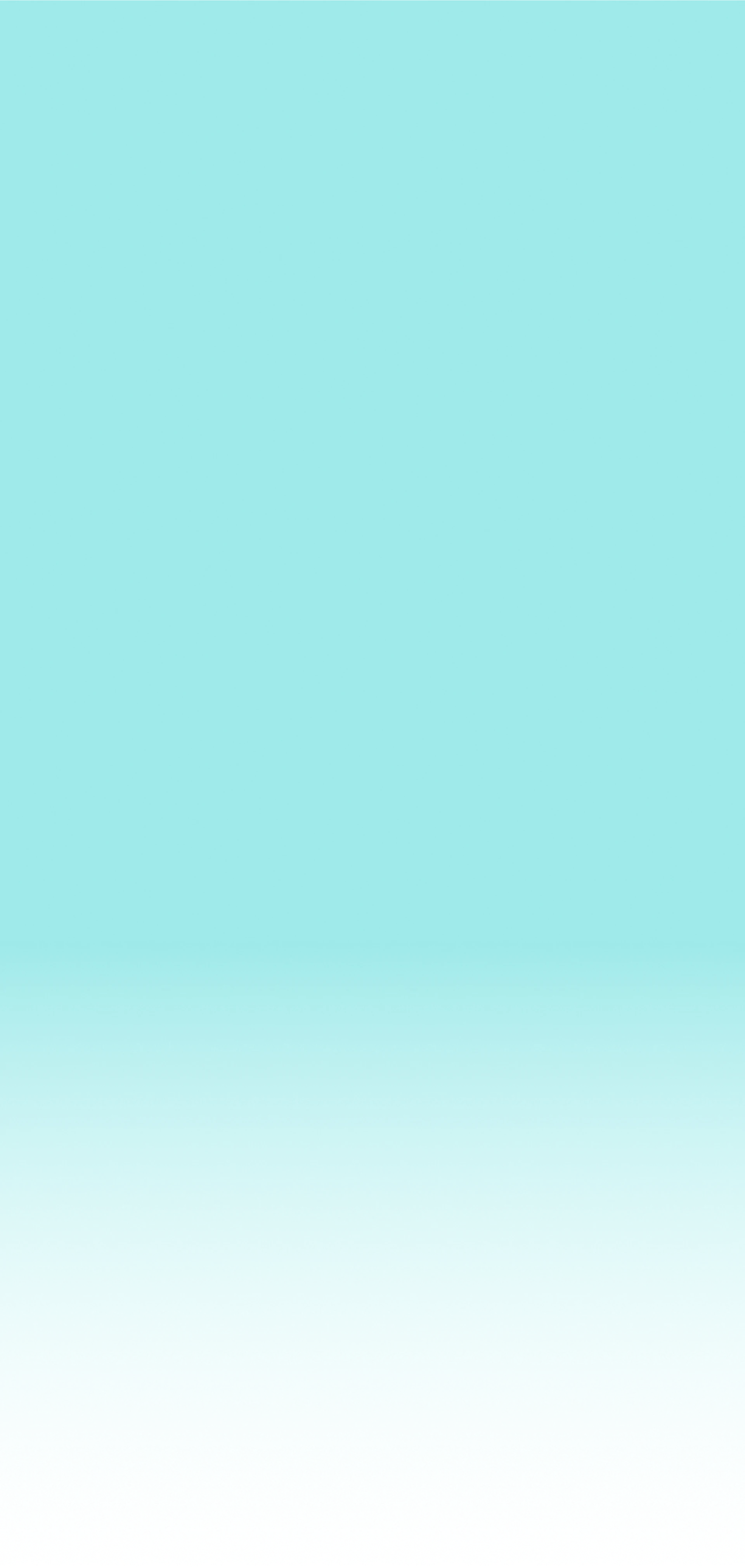 bgdk_036f73e183_4b20202032