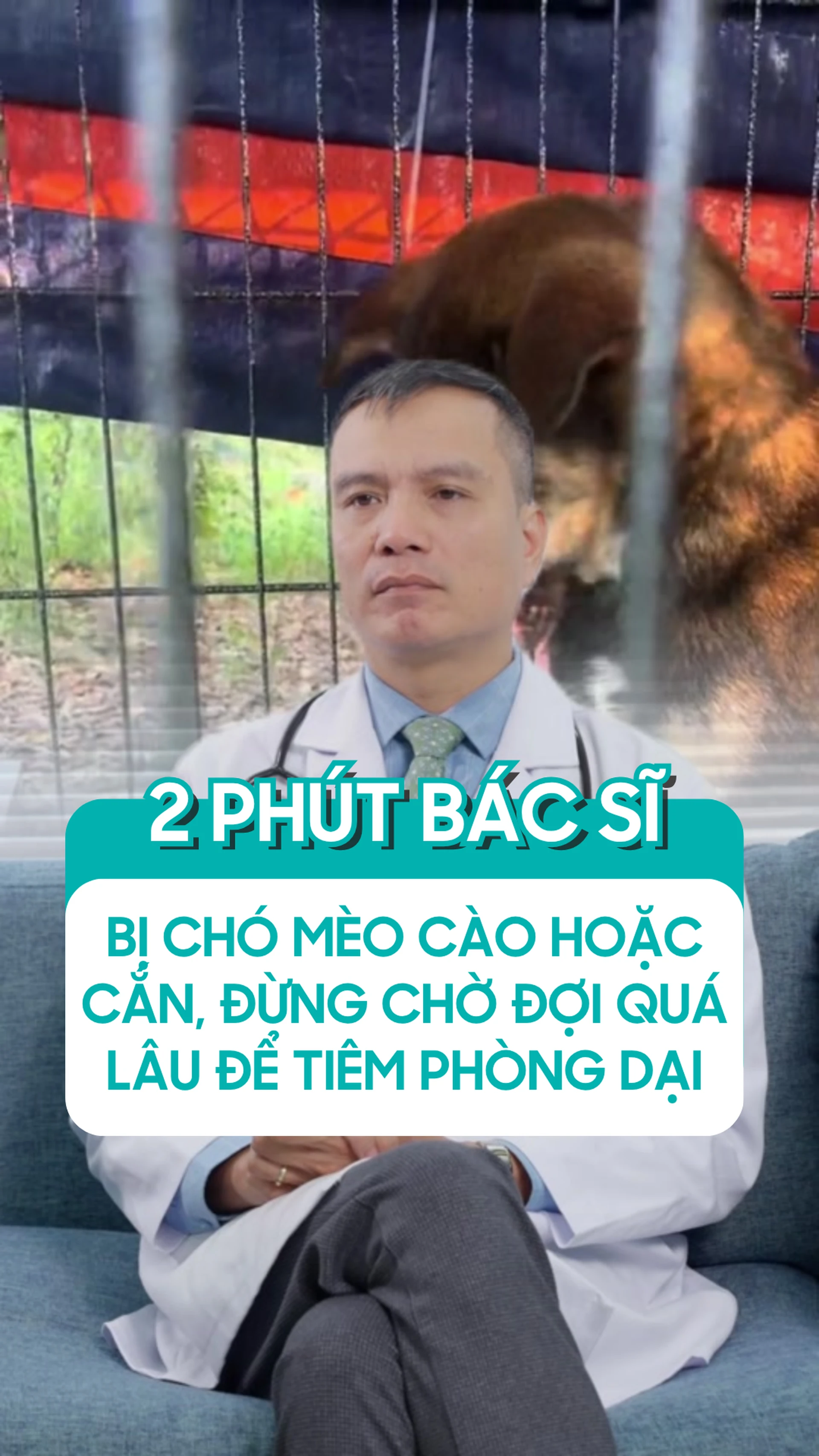bi_cho_meo_cao_hoac_can_dung_cho_doi_qua_lau_de_tiem_phong_dai_a2f92b581a