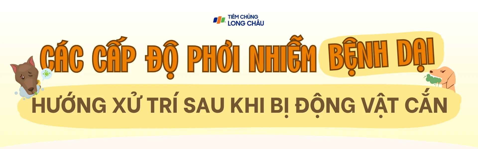 cac_cap_do_phoi_nhiem_benh_dai_va_huong_xu_tri_sau_khi_bi_dong_vat_can_11_840e4dba26