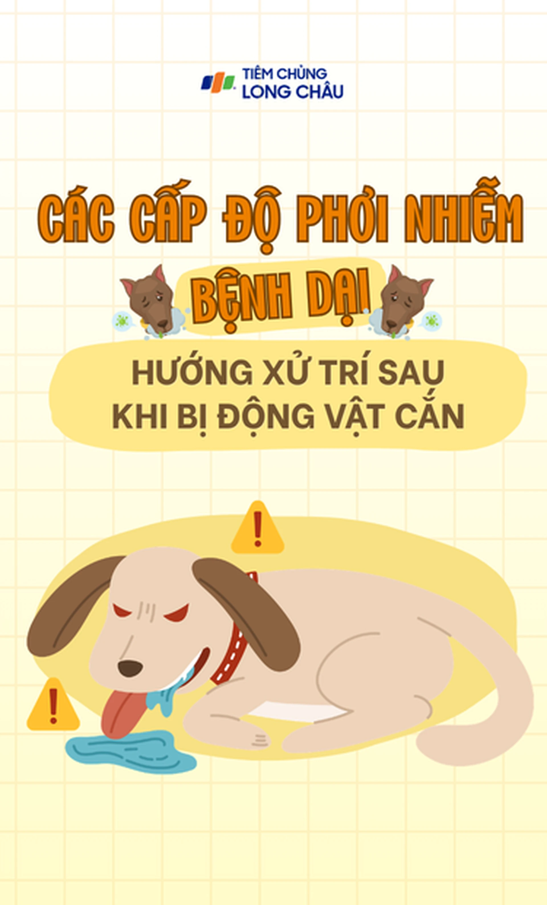 cac_cap_do_phoi_nhiem_benh_dai_va_huong_xu_tri_sau_khi_bi_dong_vat_can_2_2c645283da