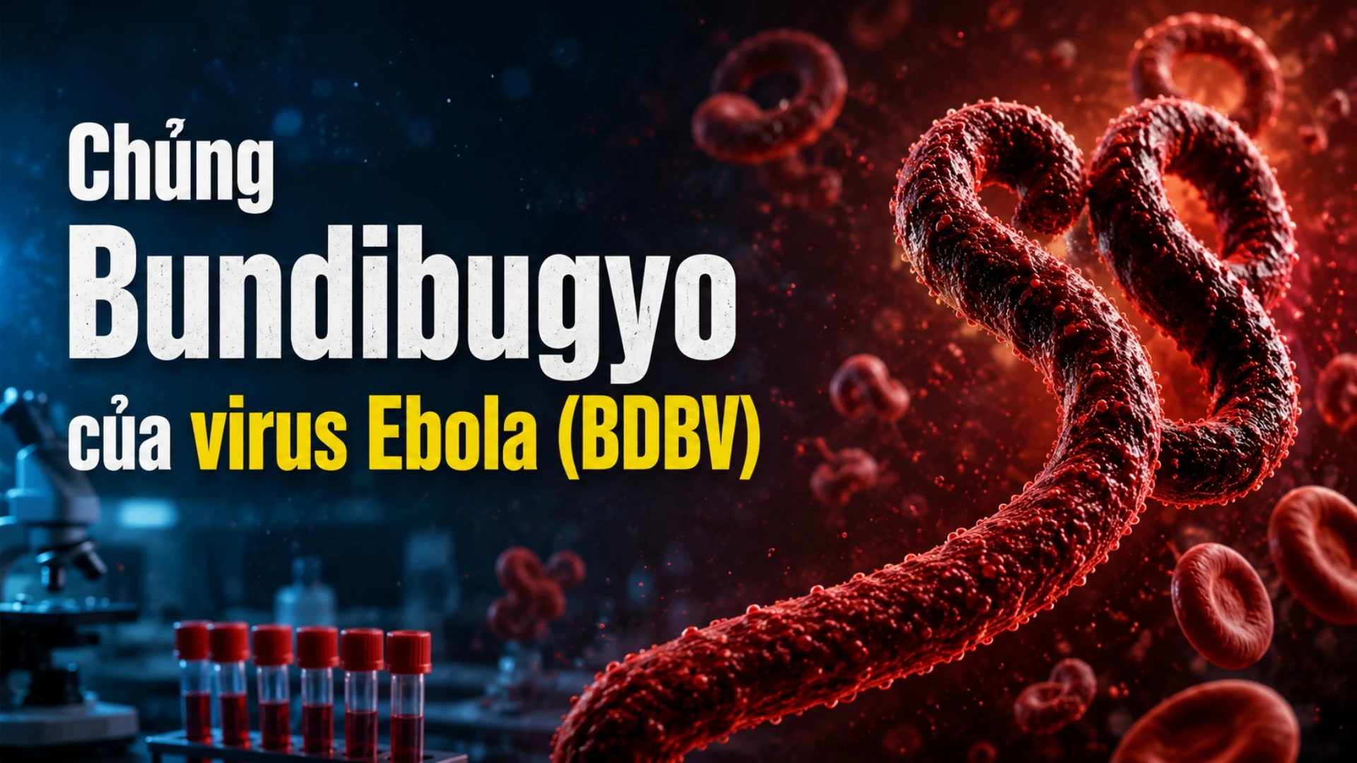 Chủng Bundibugyo của virus Ebola nguy hiểm thế nào?