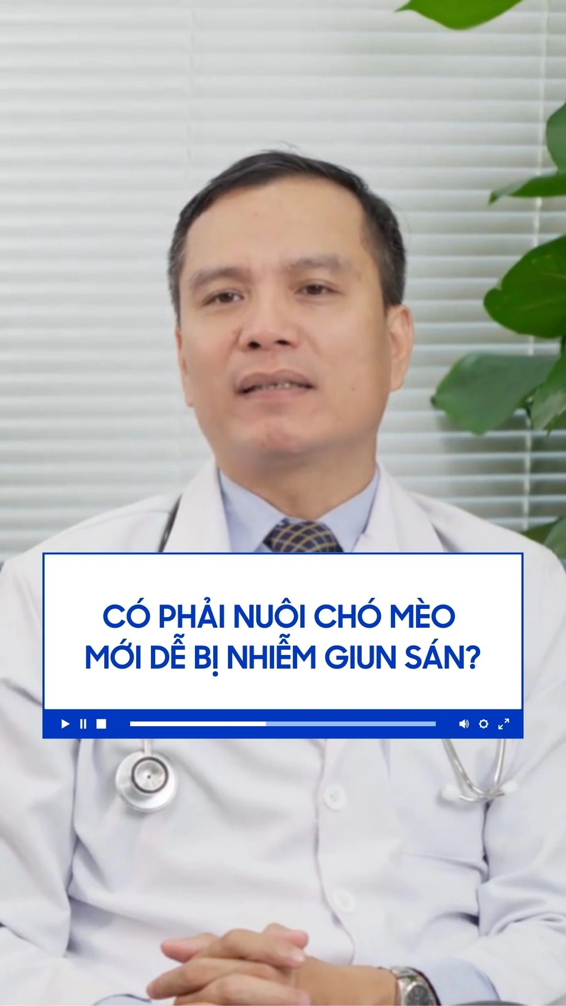 co_phai_nuoi_cho_meo_moi_de_bi_nhiem_giun_san_f8d2b82892