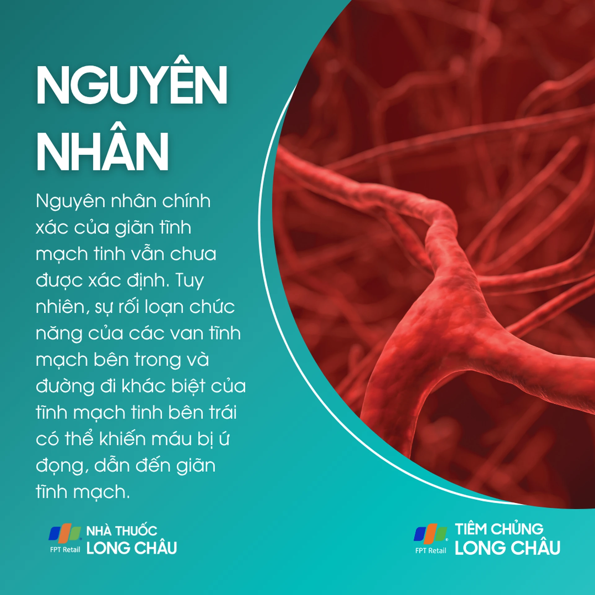 gian_tinh_mach_tinh_3_c109696beb
