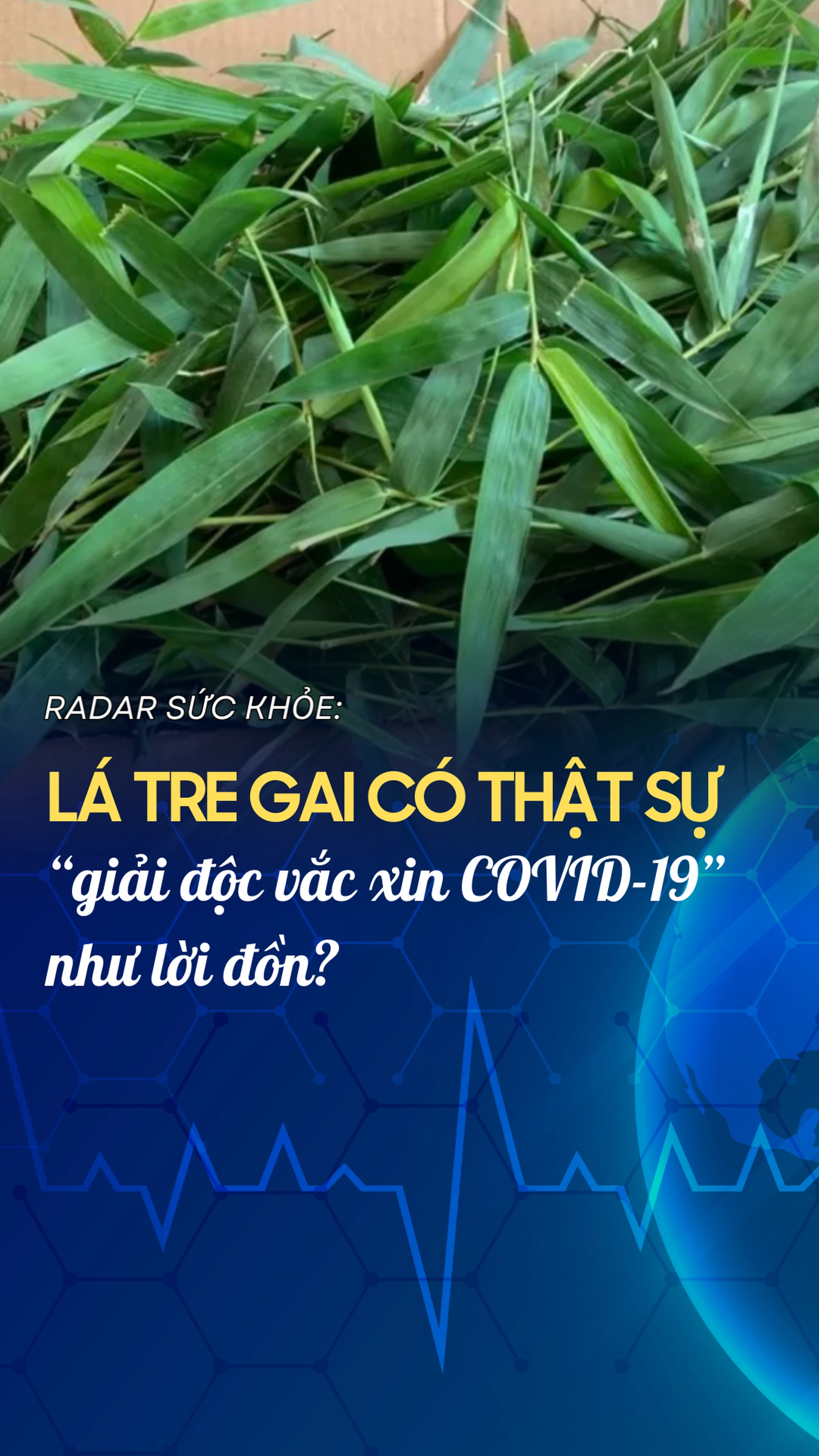 la_tre_gai_co_that_su_giai_doc_vac_xin_covid_19_nhu_loi_don_dfafc1d55f