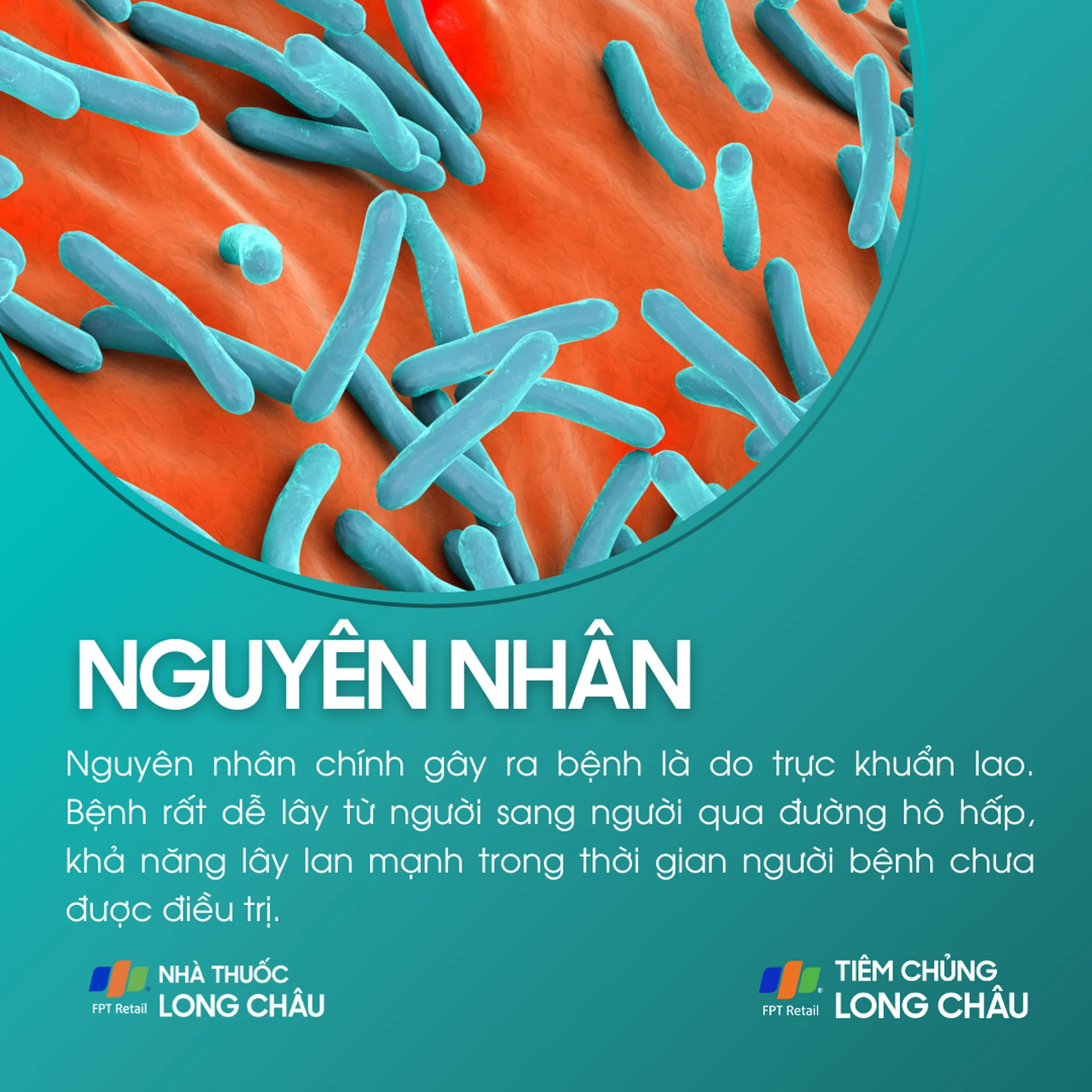 lao_phoi_3_9bfd4c0a31