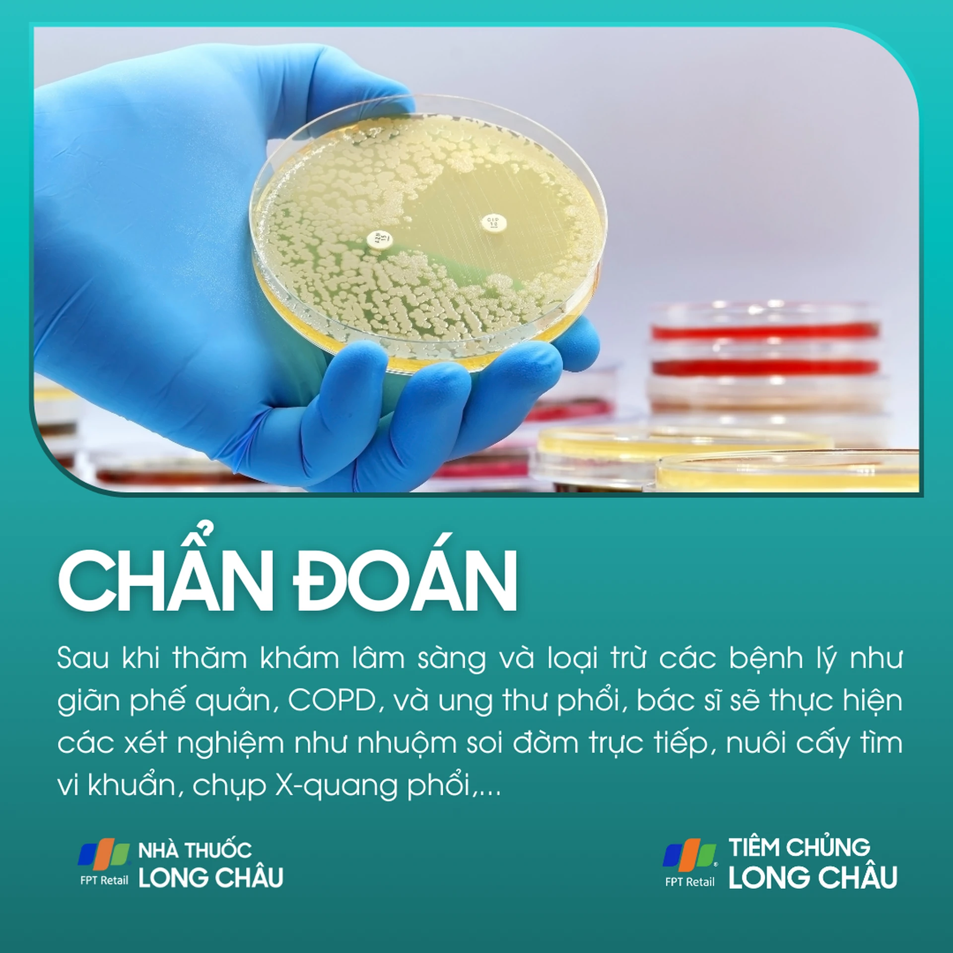 lao_phoi_5_b2f175bc33