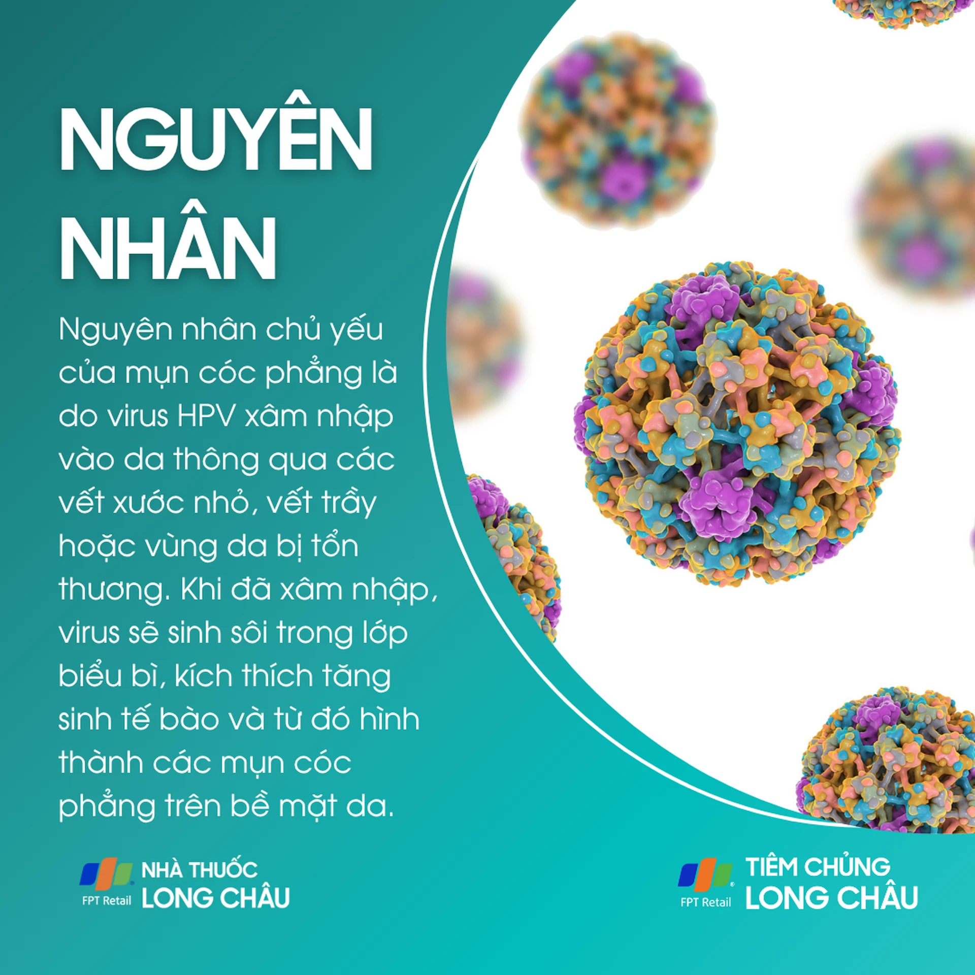 mun_coc_phang_3_17bd0ee66f