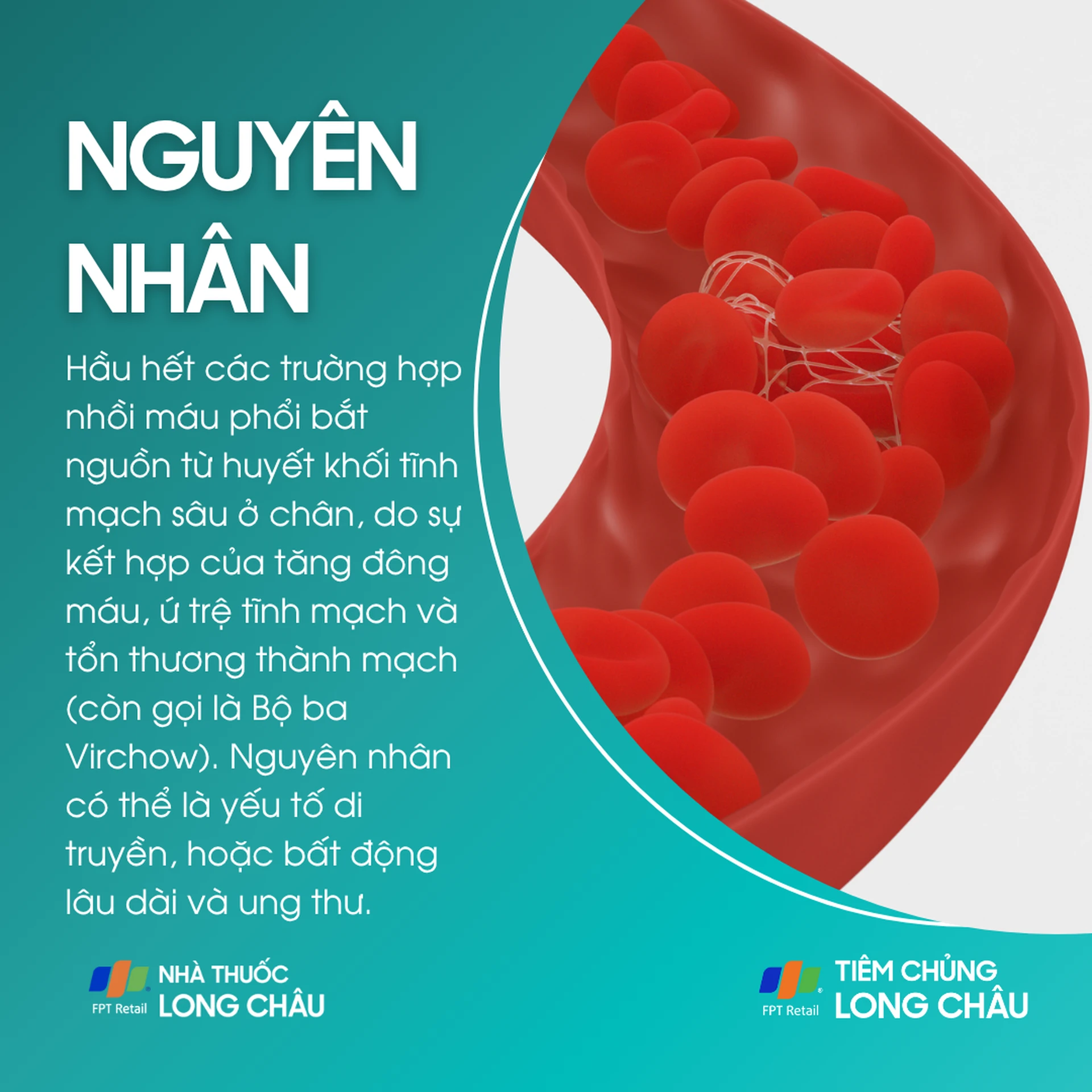 nhoi_mau_phoi_3_d859ffd16b