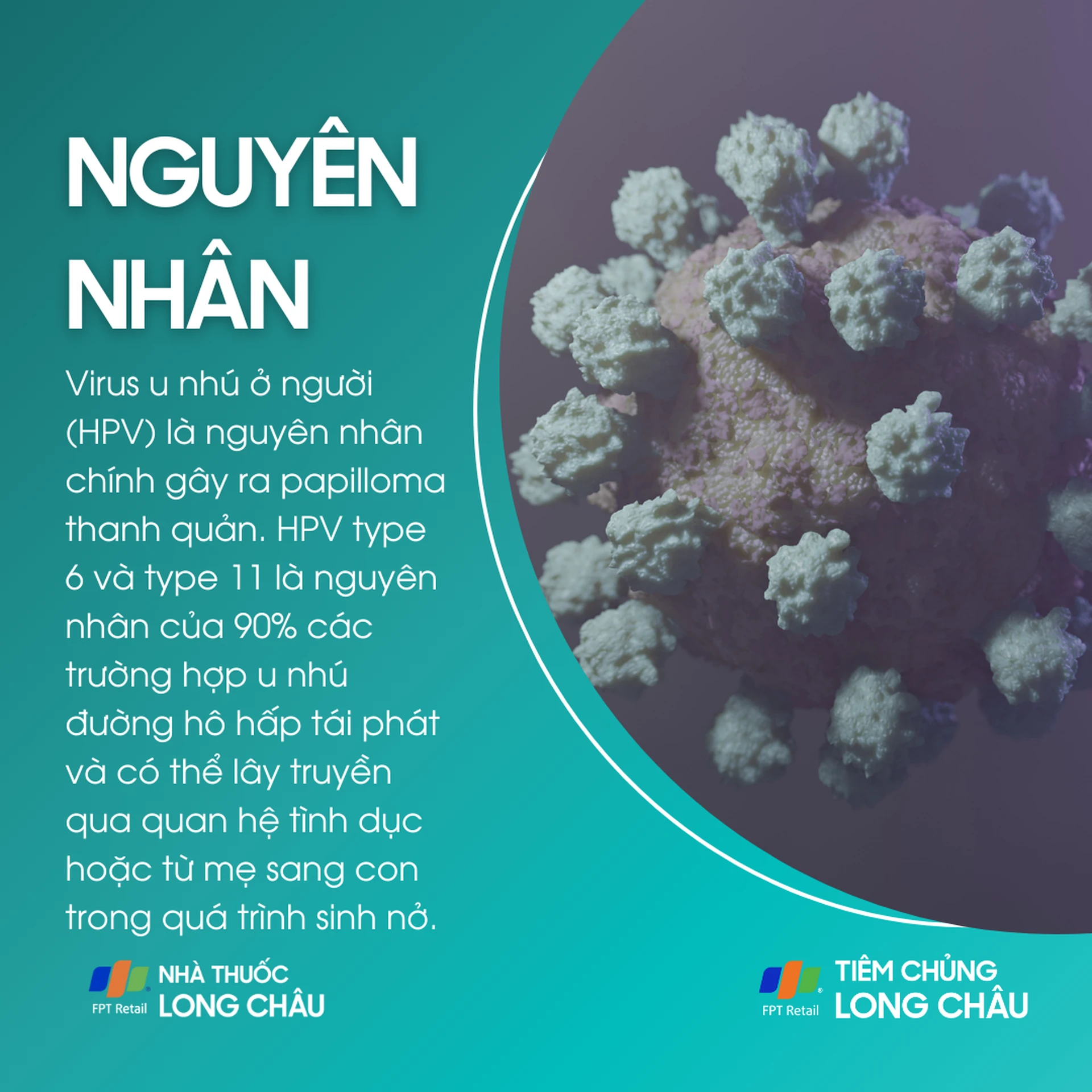 papilloma_thanh_quan_3_557f6ba2de