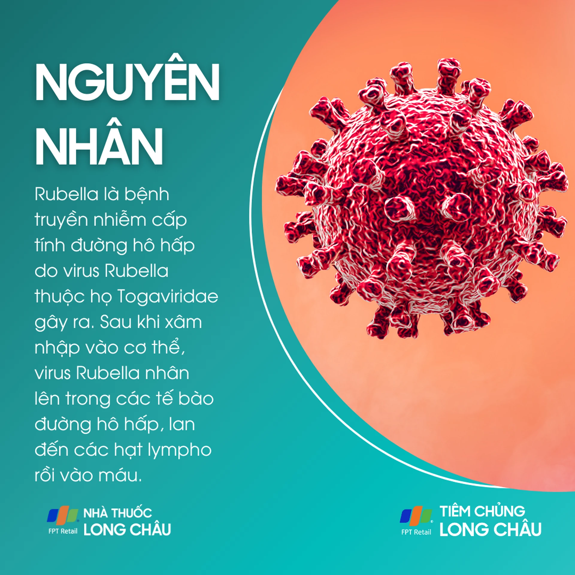 rubella_3_cd4add632a