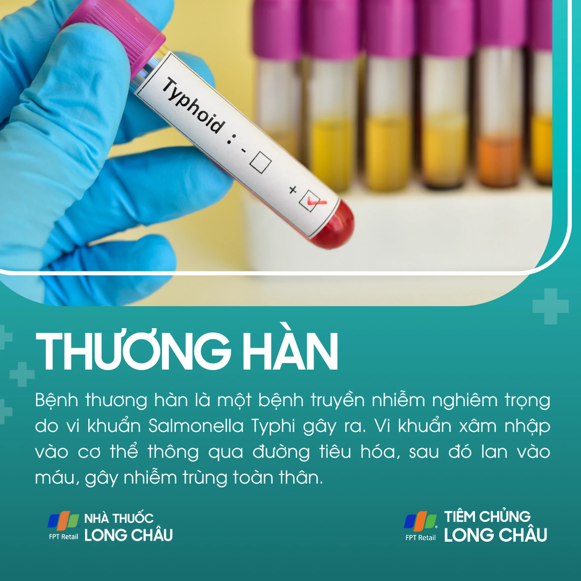thuong_han_536e77a3eb