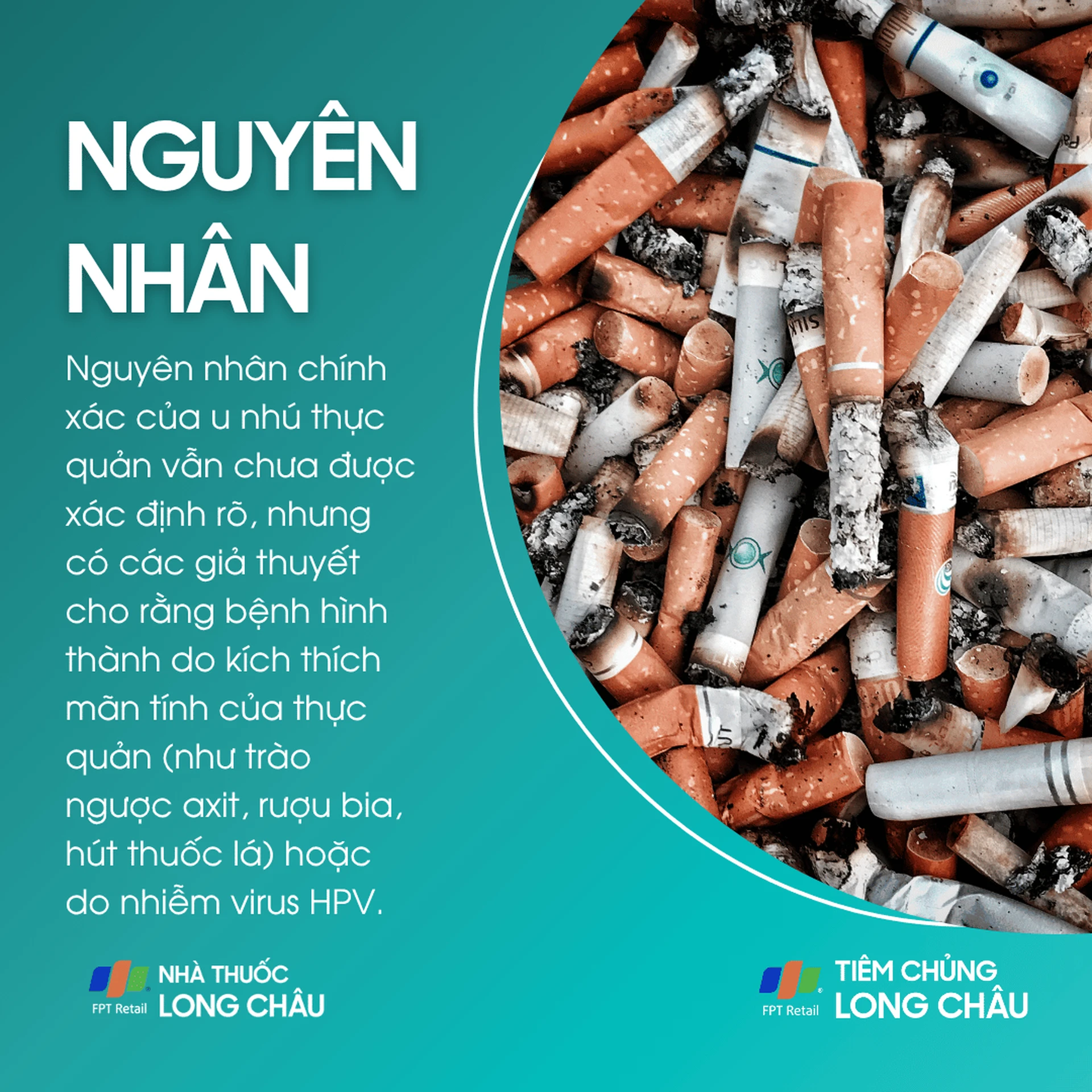u_nhu_thuc_quan_3_11835bae9e