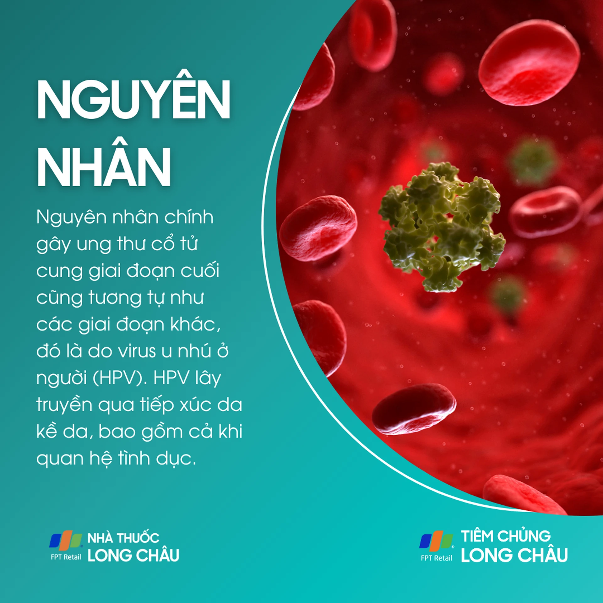 ung_thu_co_tu_cung_giai_doan_cuoi_3_d2f47b2fdf