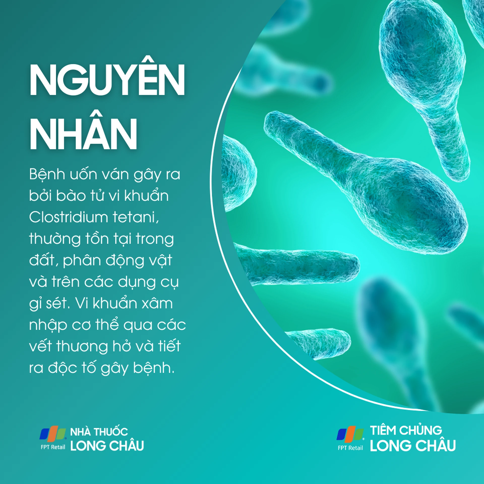 uon_van_3_dc430a9ae0