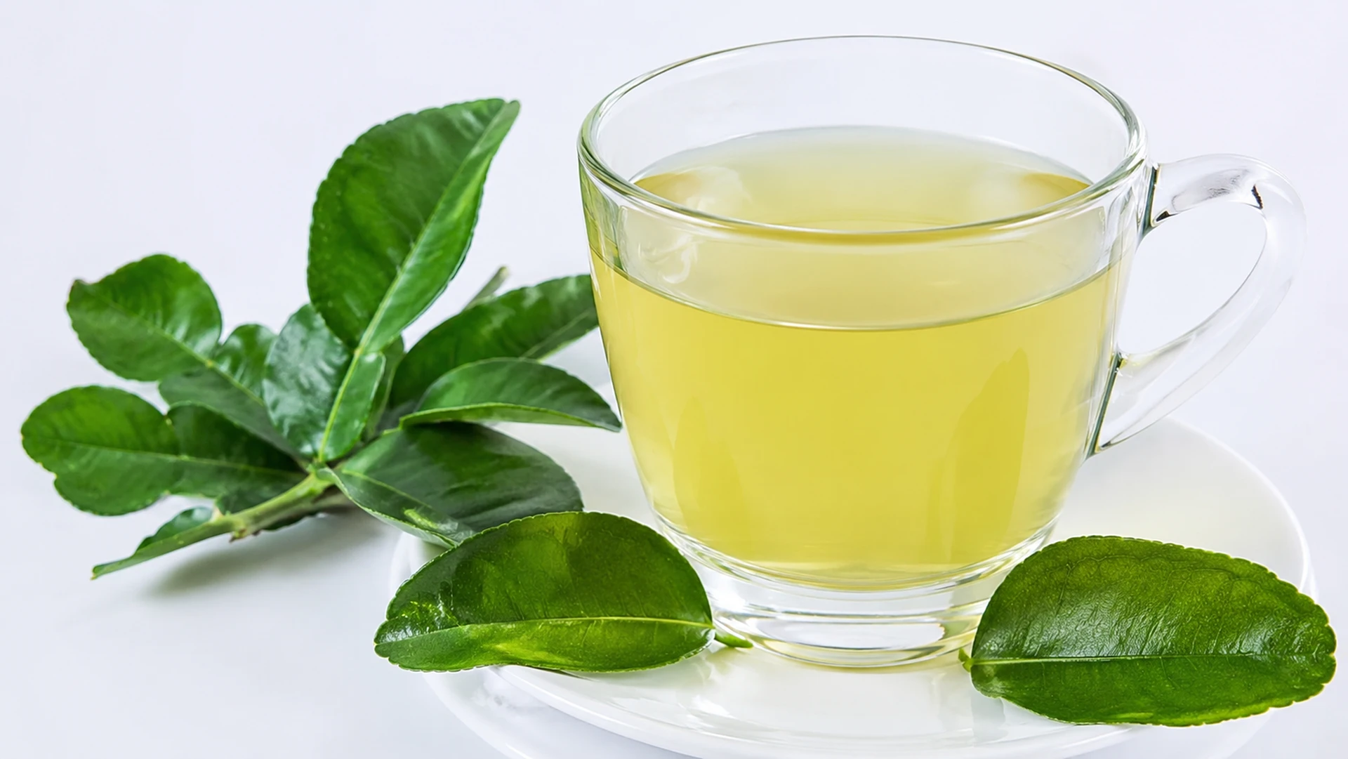 Uống nước lá chanh có tác dụng gì cho sức khỏe?