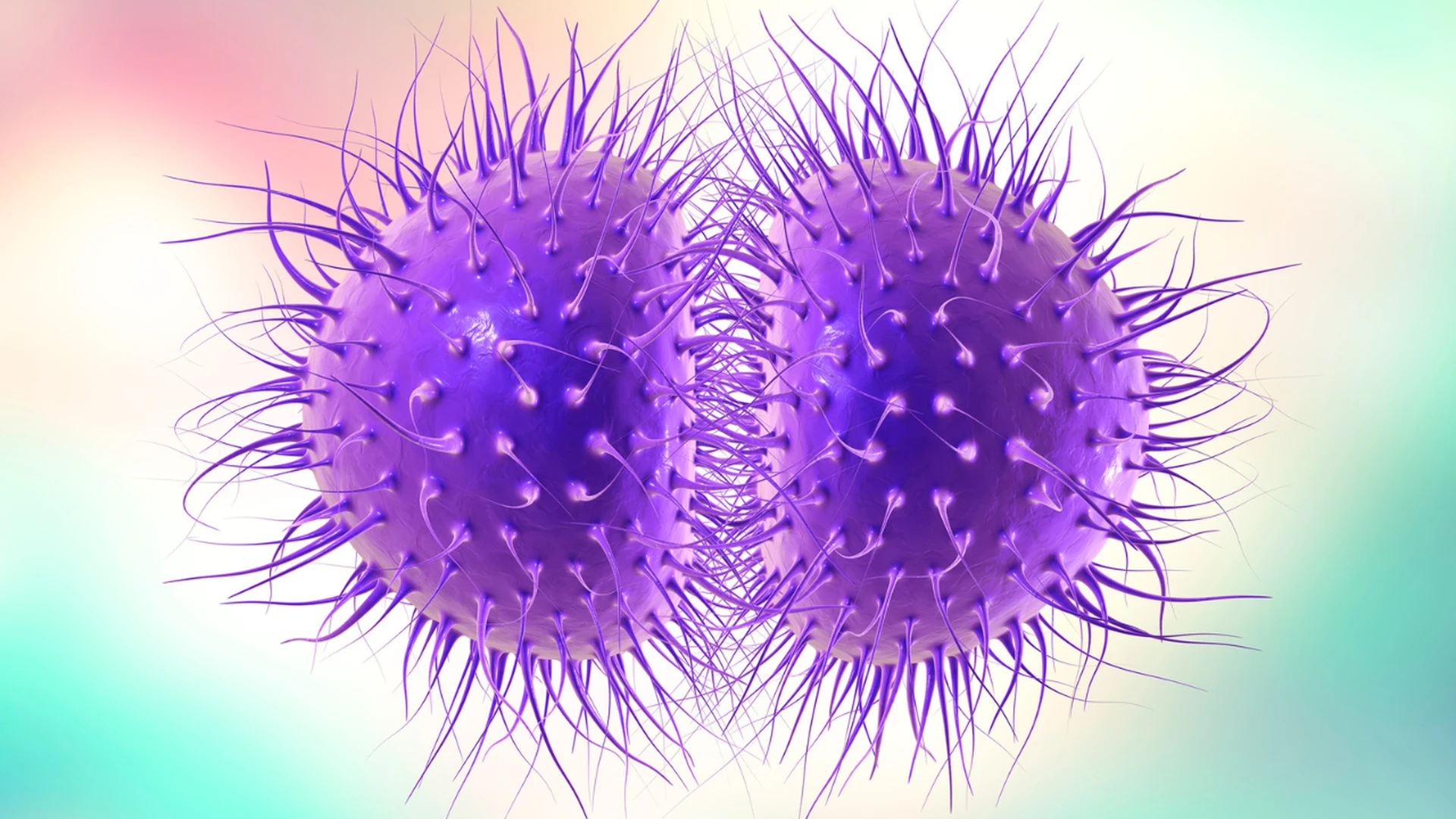 vacxin-nao-mo-cau-acyw (3).png