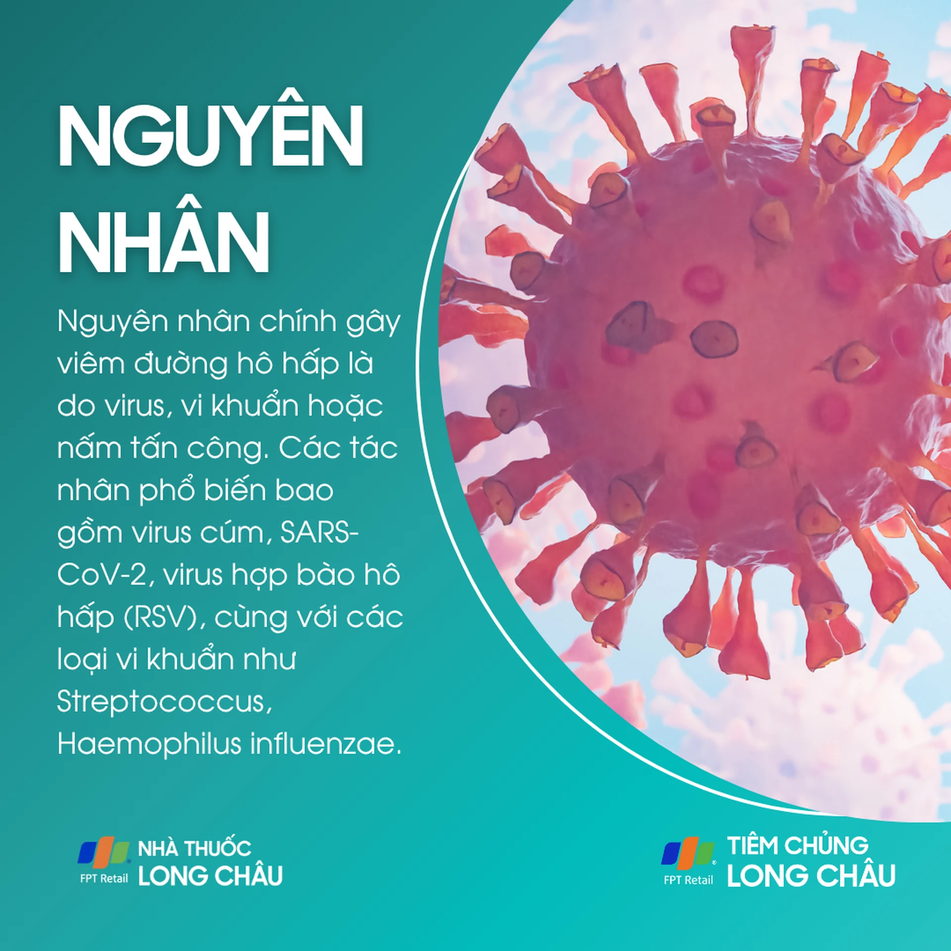 viem_duong_ho_hap_3_3c77798e45