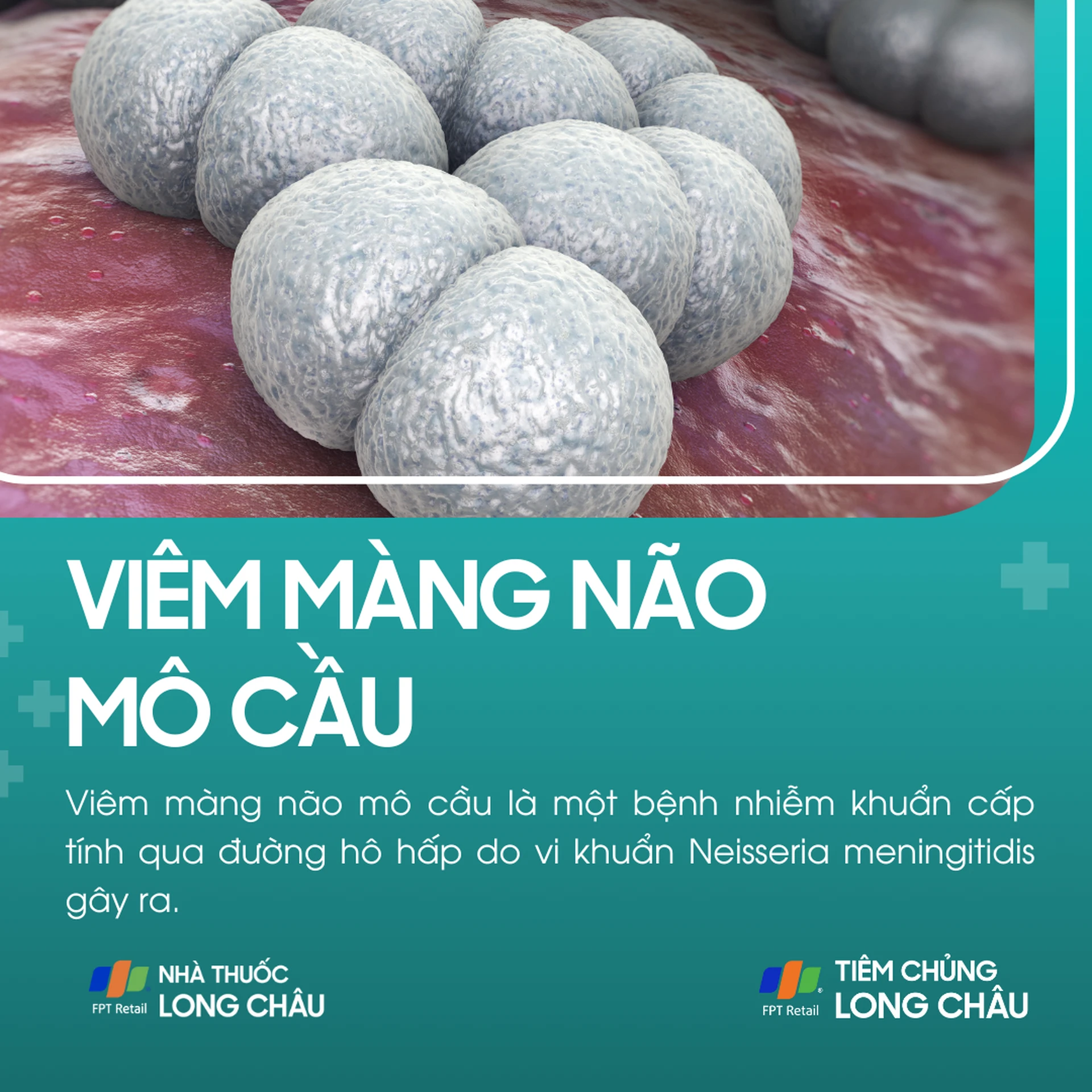 viem_mang_nao_mo_cau_1_7b32a9a1fc