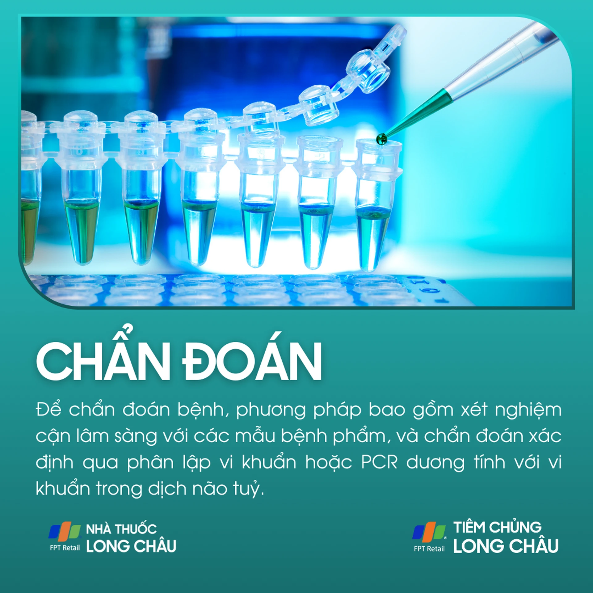 viem_mang_nao_mo_cau_5_62cc370a2b