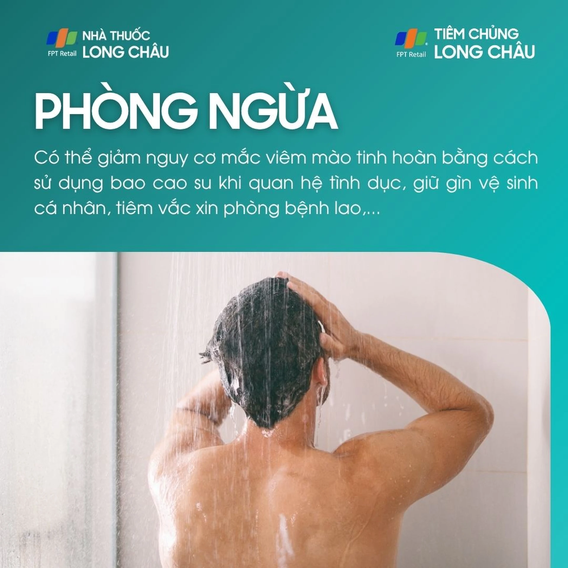 viem_mao_tinh_hoan_7_2ece19703d