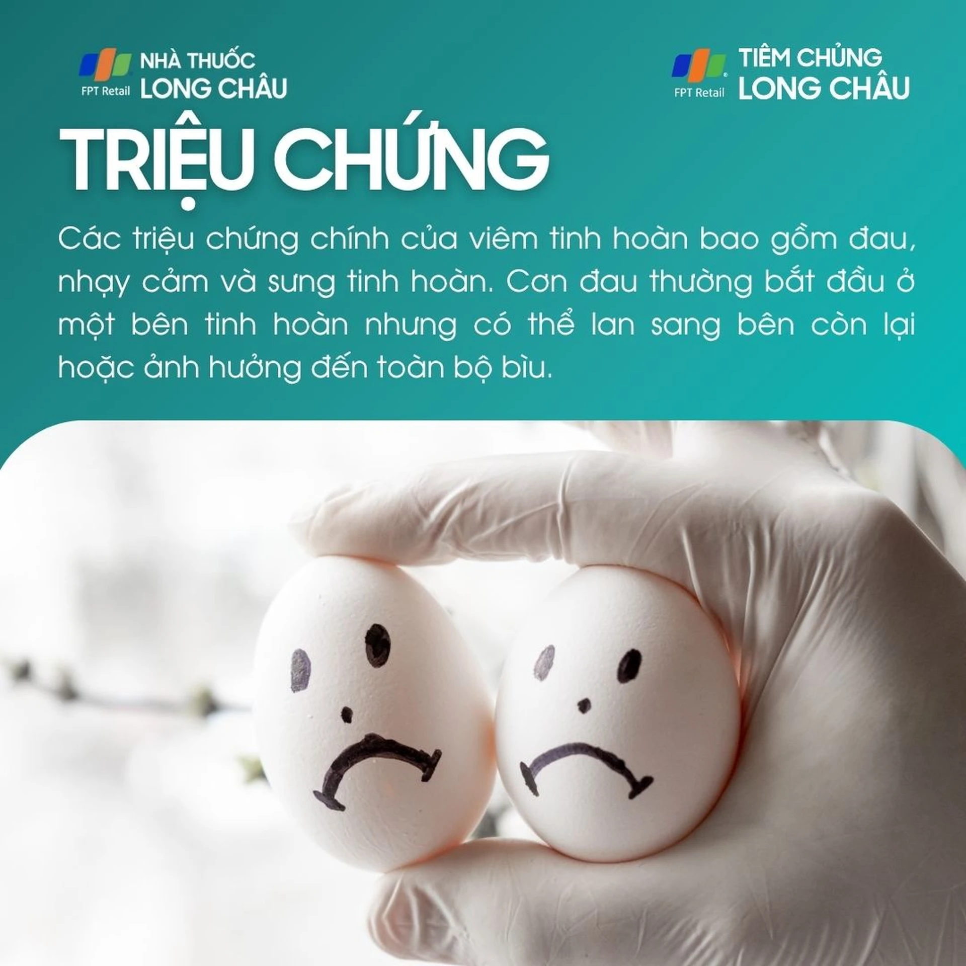 viem_tinh_hoan_2_e116c6f633