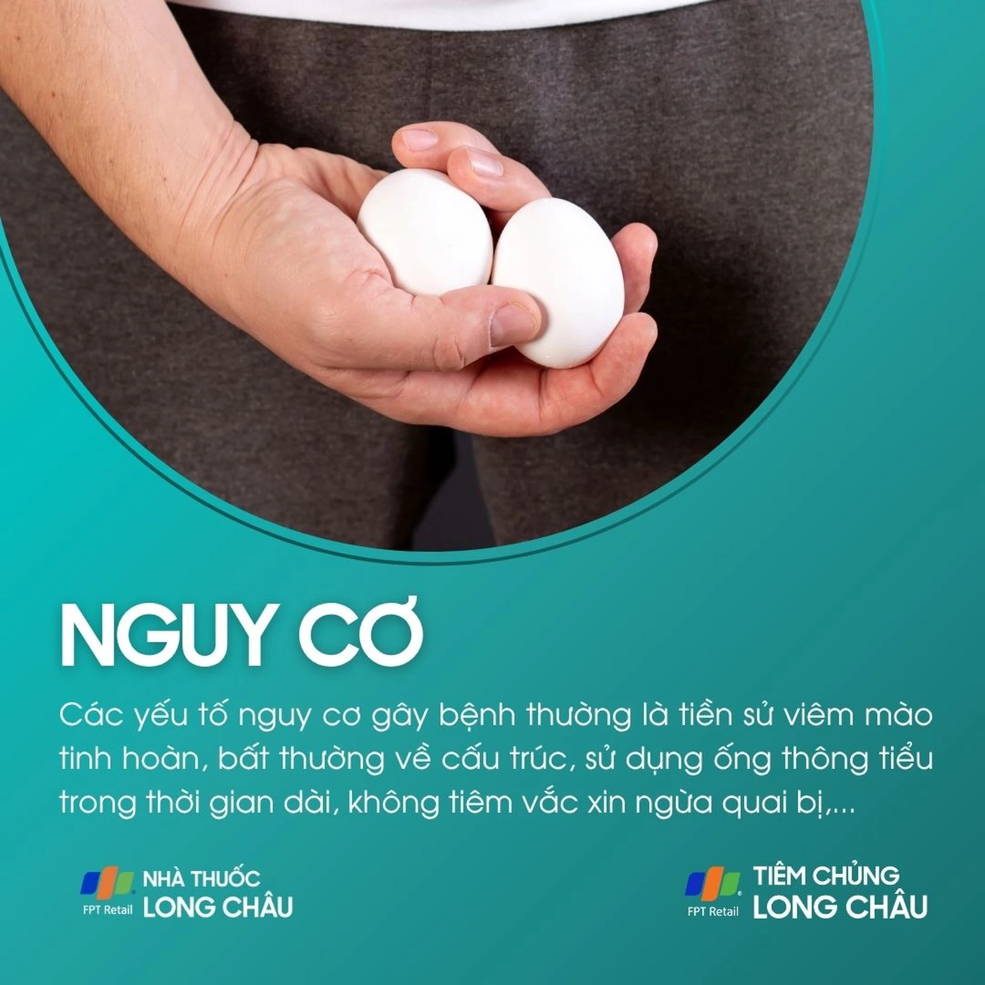 viem_tinh_hoan_4_a269ea5ad9