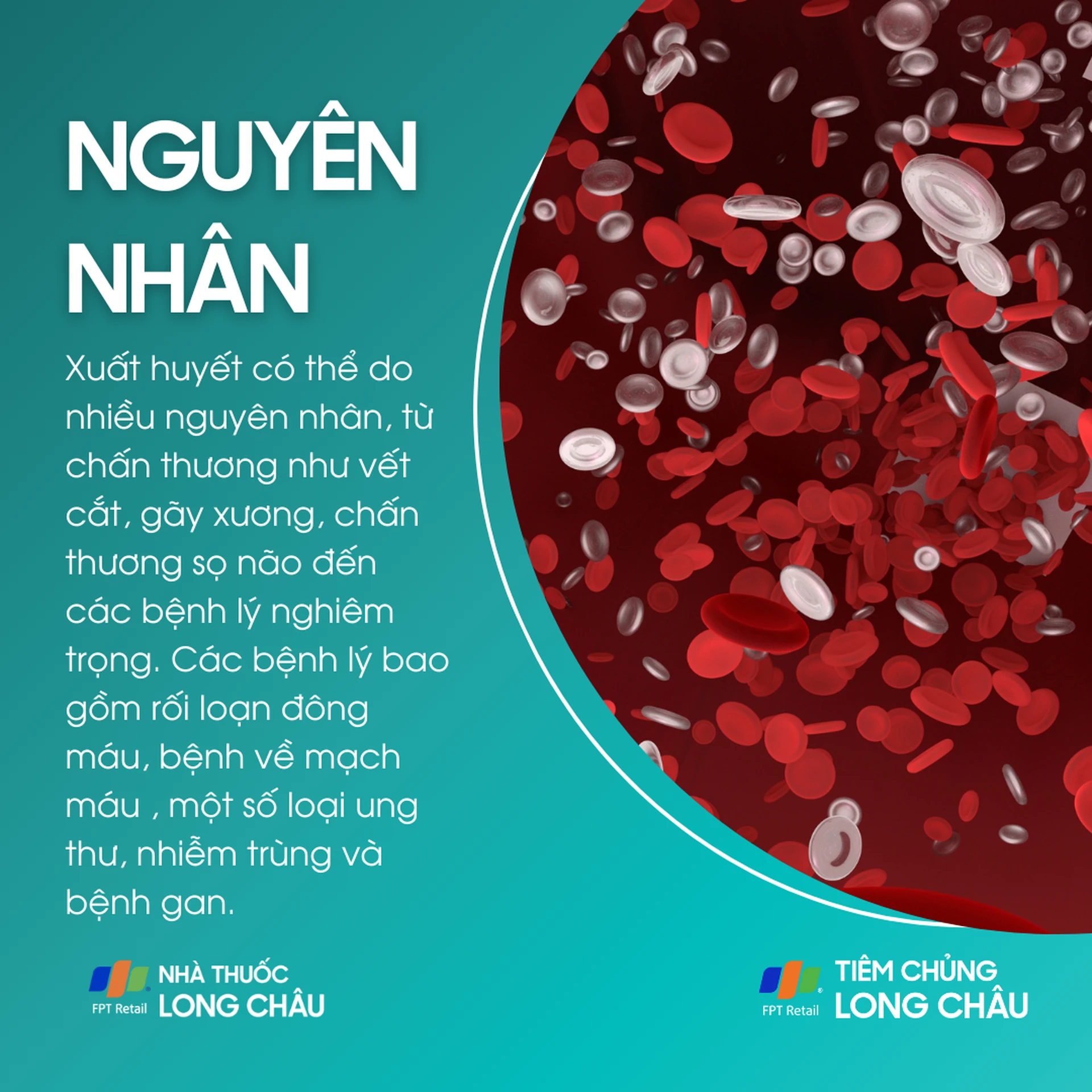 xuat_huyet_3_0ec036c01f