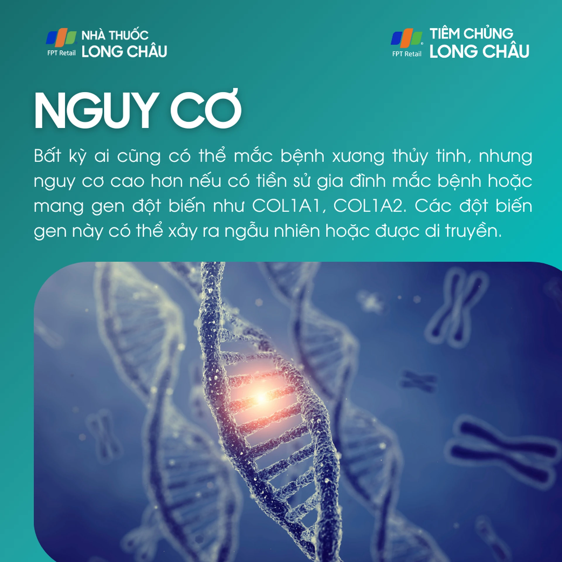 xuong_thuy_tinh_4_138134851c