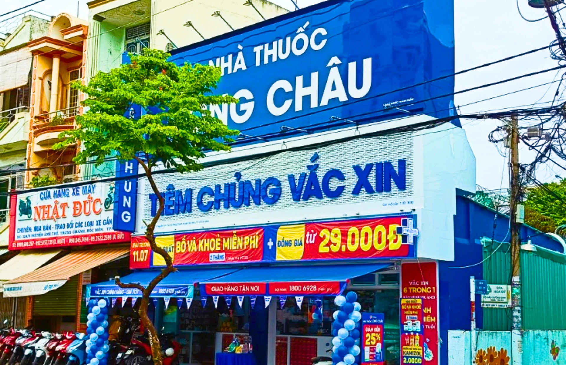 Hình ảnh trung tâm