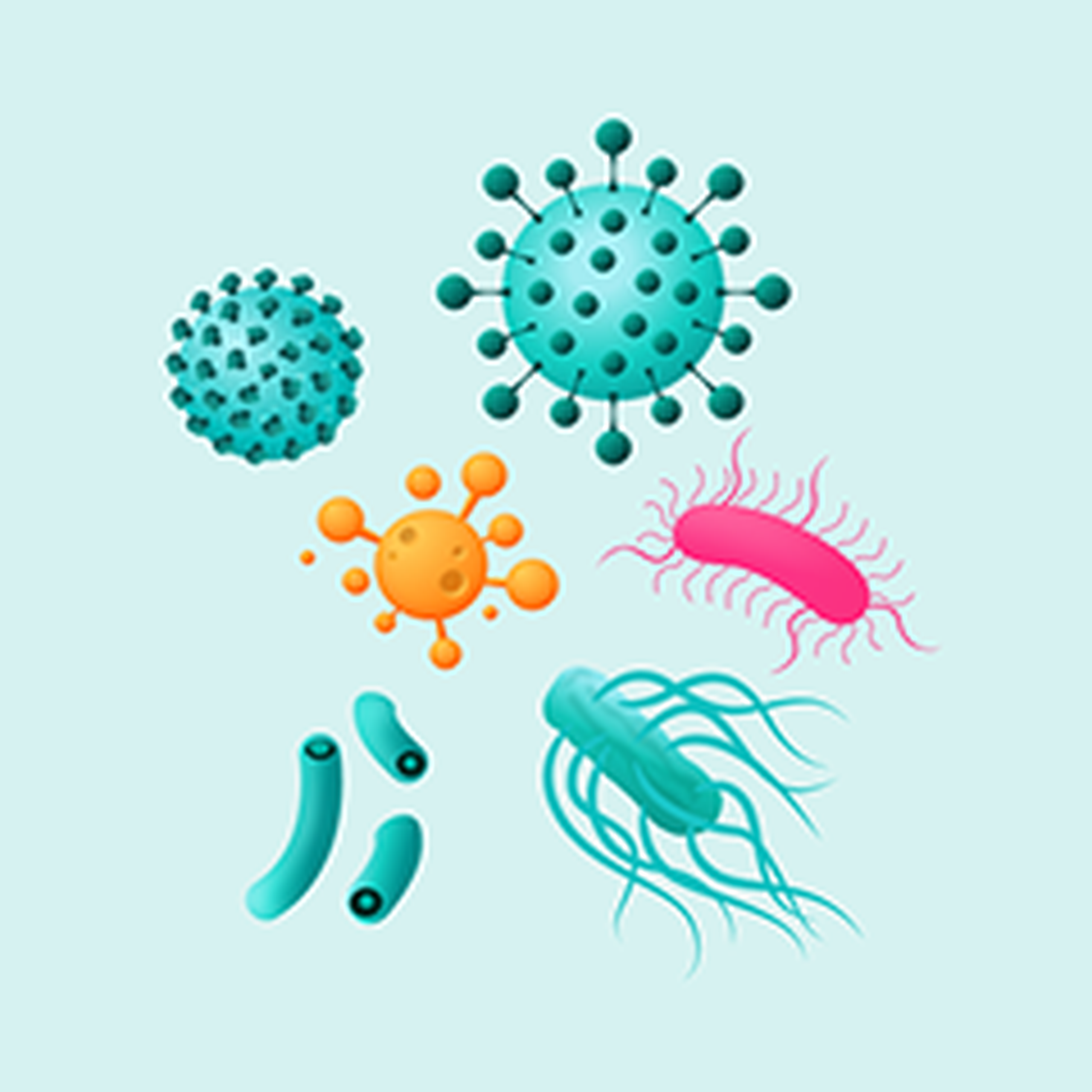 Nhom_benh_6_trong_1_e2e38f1ac6