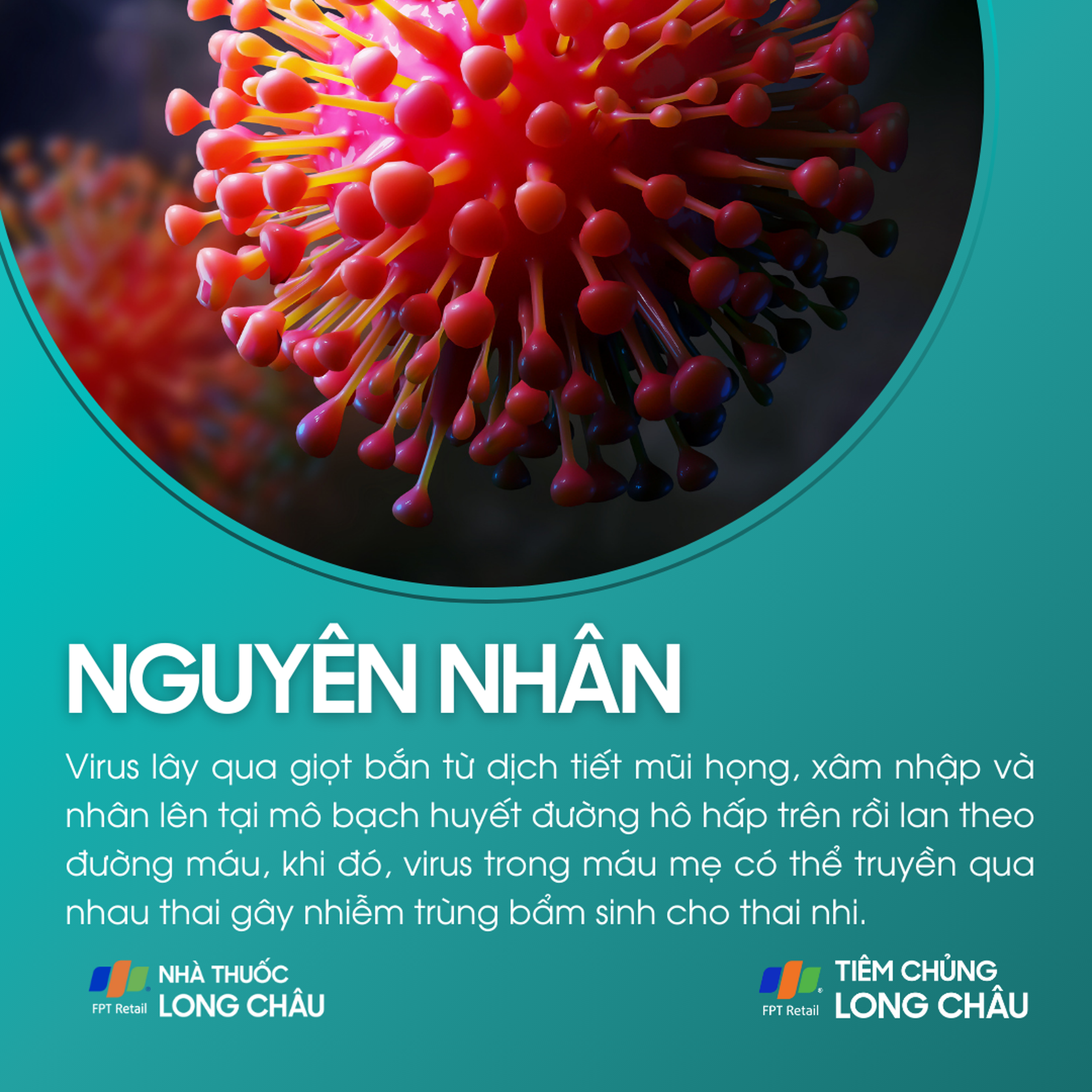 benh_rubella_o_phu_nu_mang_thai_3_7389423d46