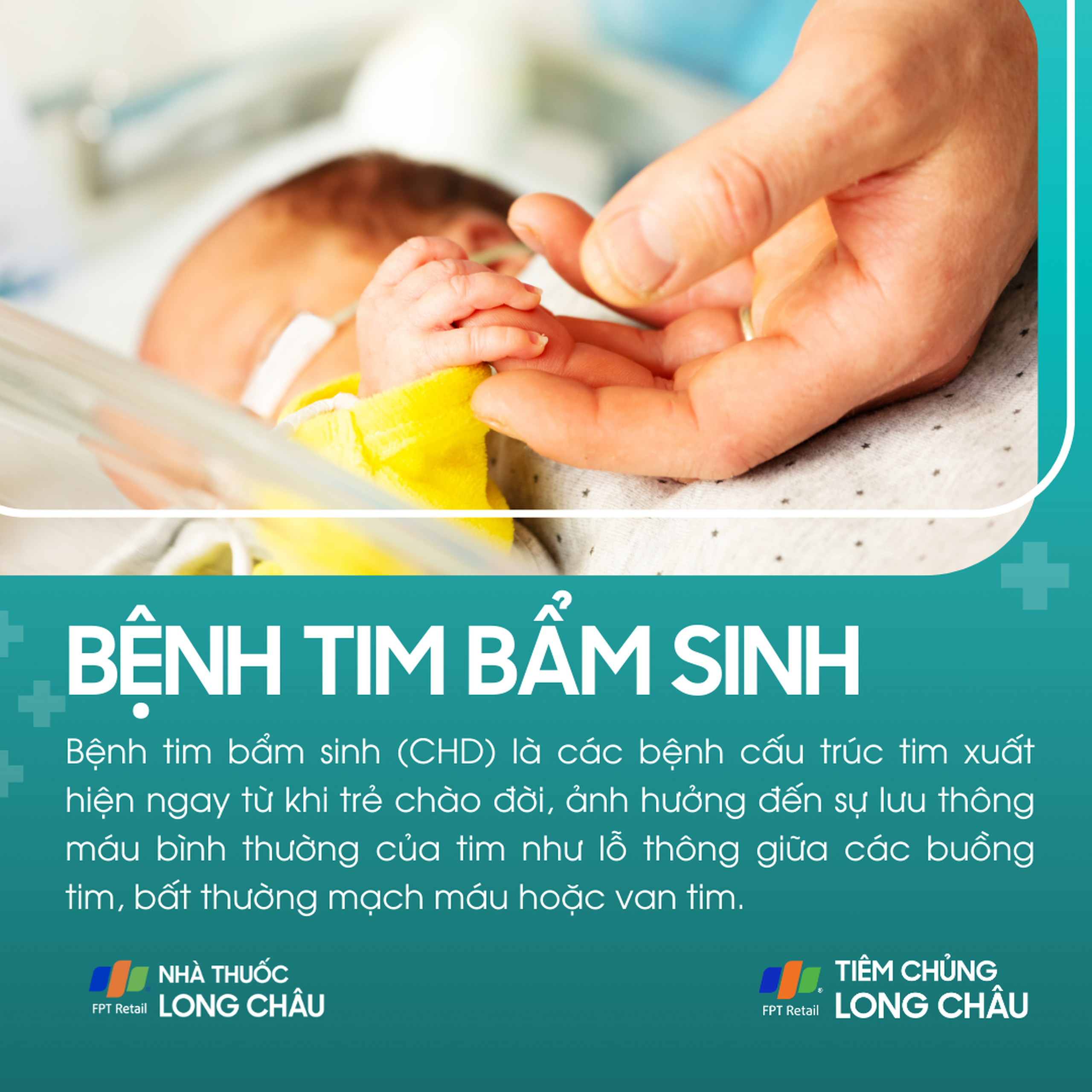 benh_tim_bam_sinh_1_8c771c682a