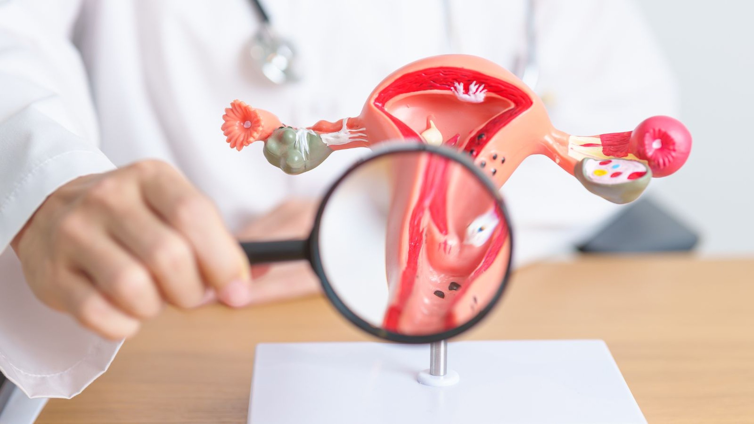 Cách đào thải virus HPV ra khỏi cơ thể như thế nào? 1