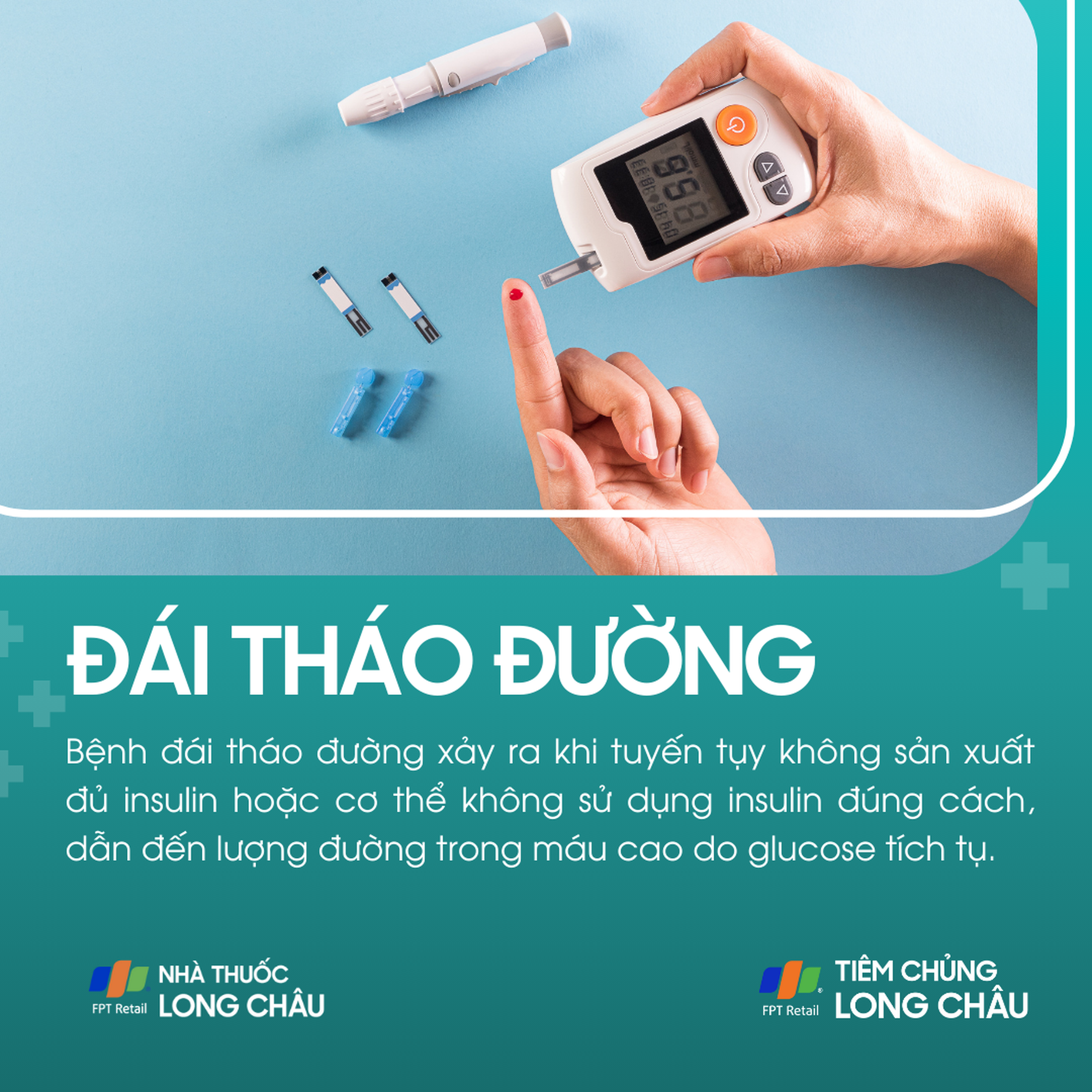 dai_thao_duong_1_b8a50d3d3b