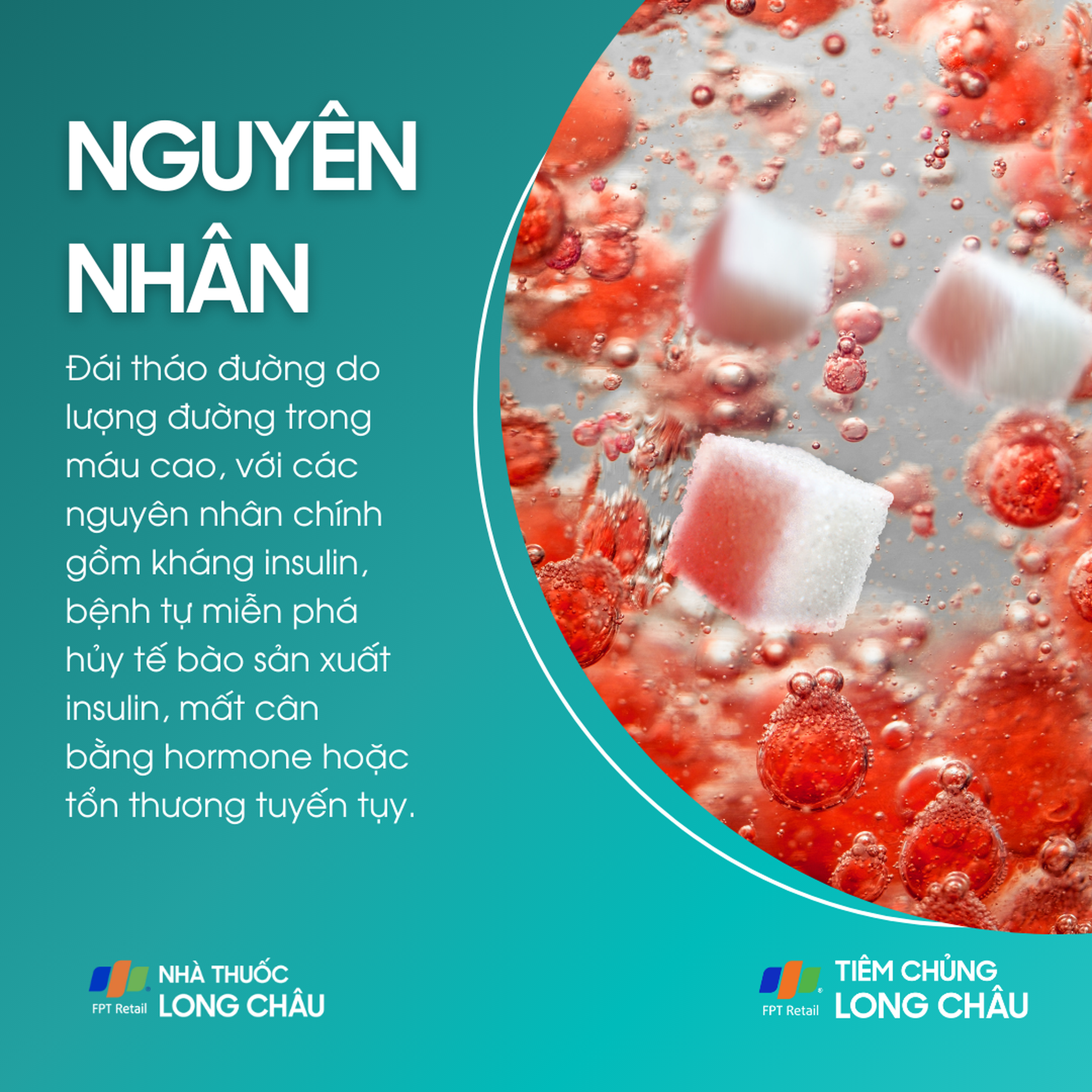dai_thao_duong_3_a2373de606