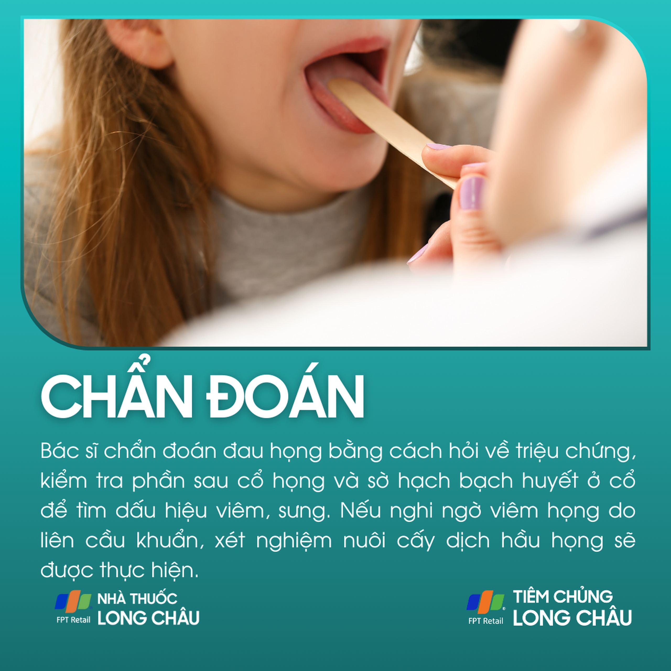 dau_hong_5_5dcb4fa184
