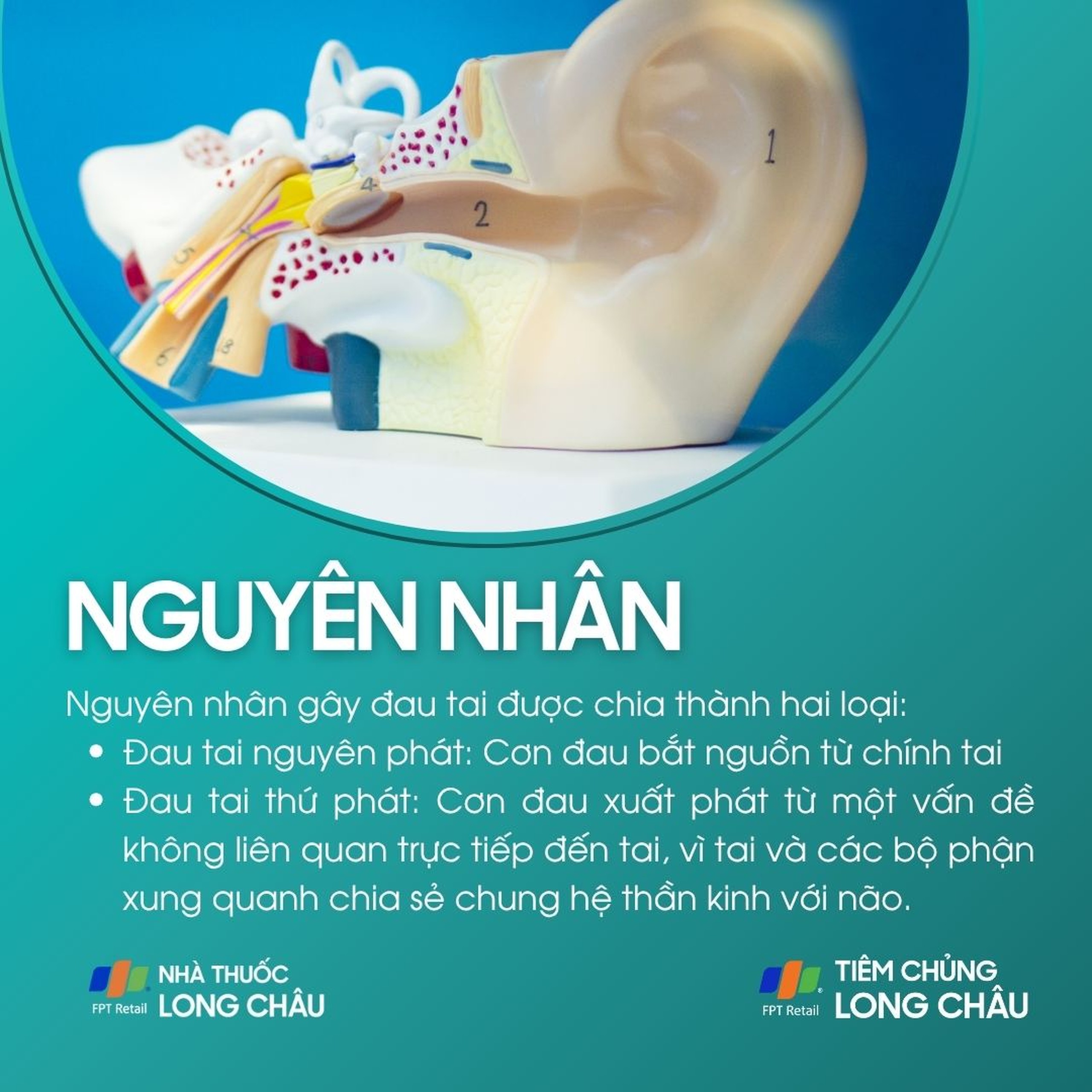 dau_tai_3_e1e561cf71