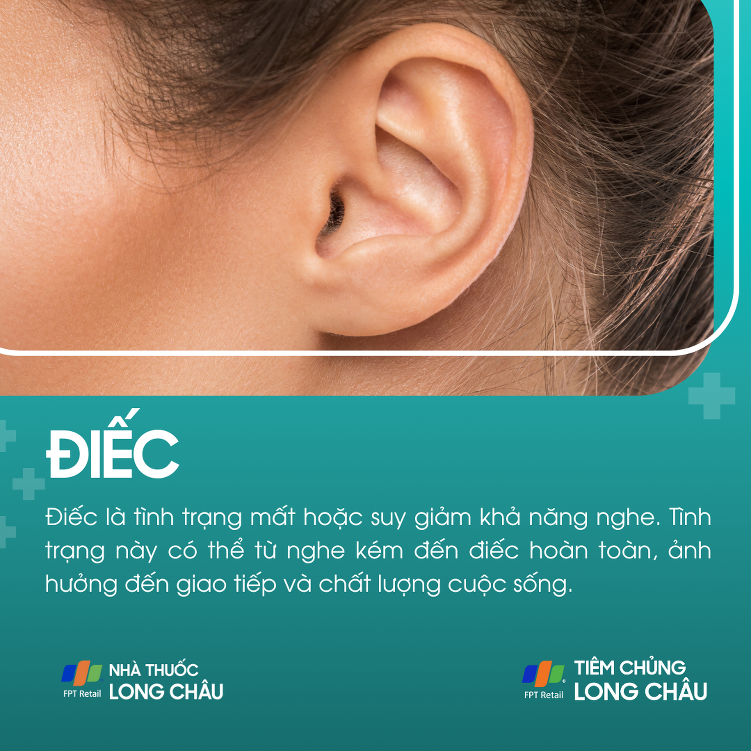 diec_1_b6b58819ea
