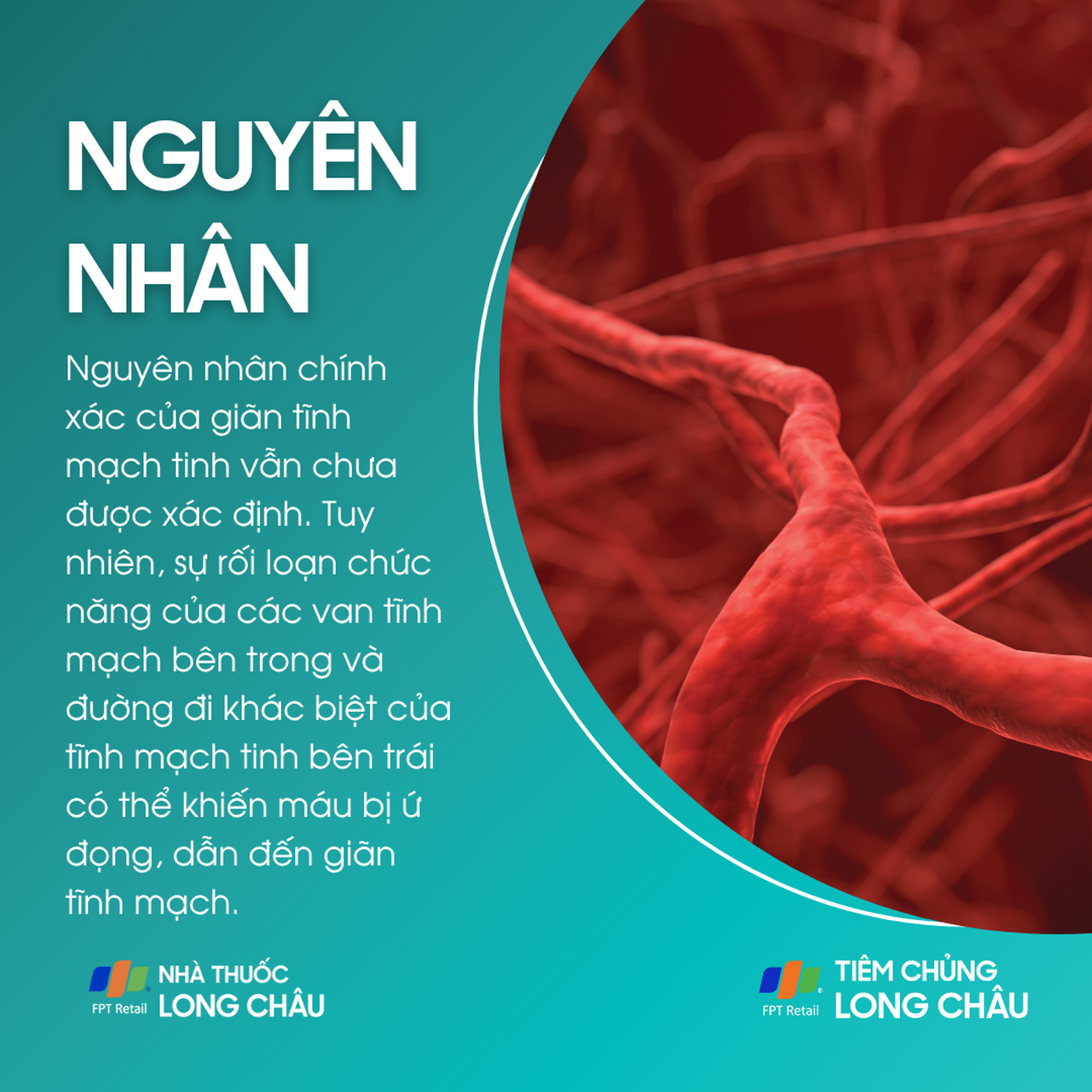 gian_tinh_mach_tinh_3_c109696beb