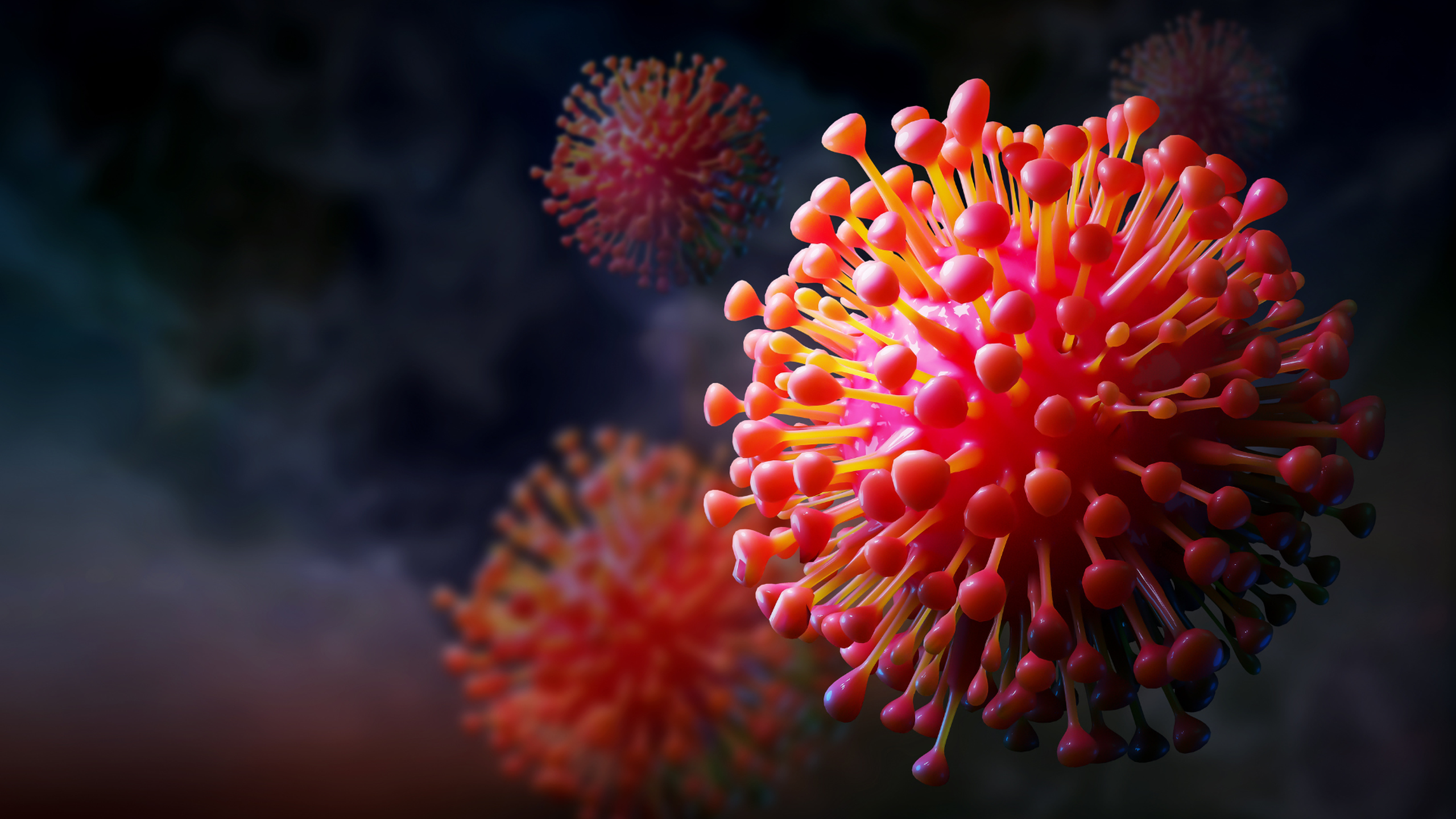 hpv-type-12-co-nguy-hiem-khong-trieu-chung-va-cach-phong-ngua-2.png