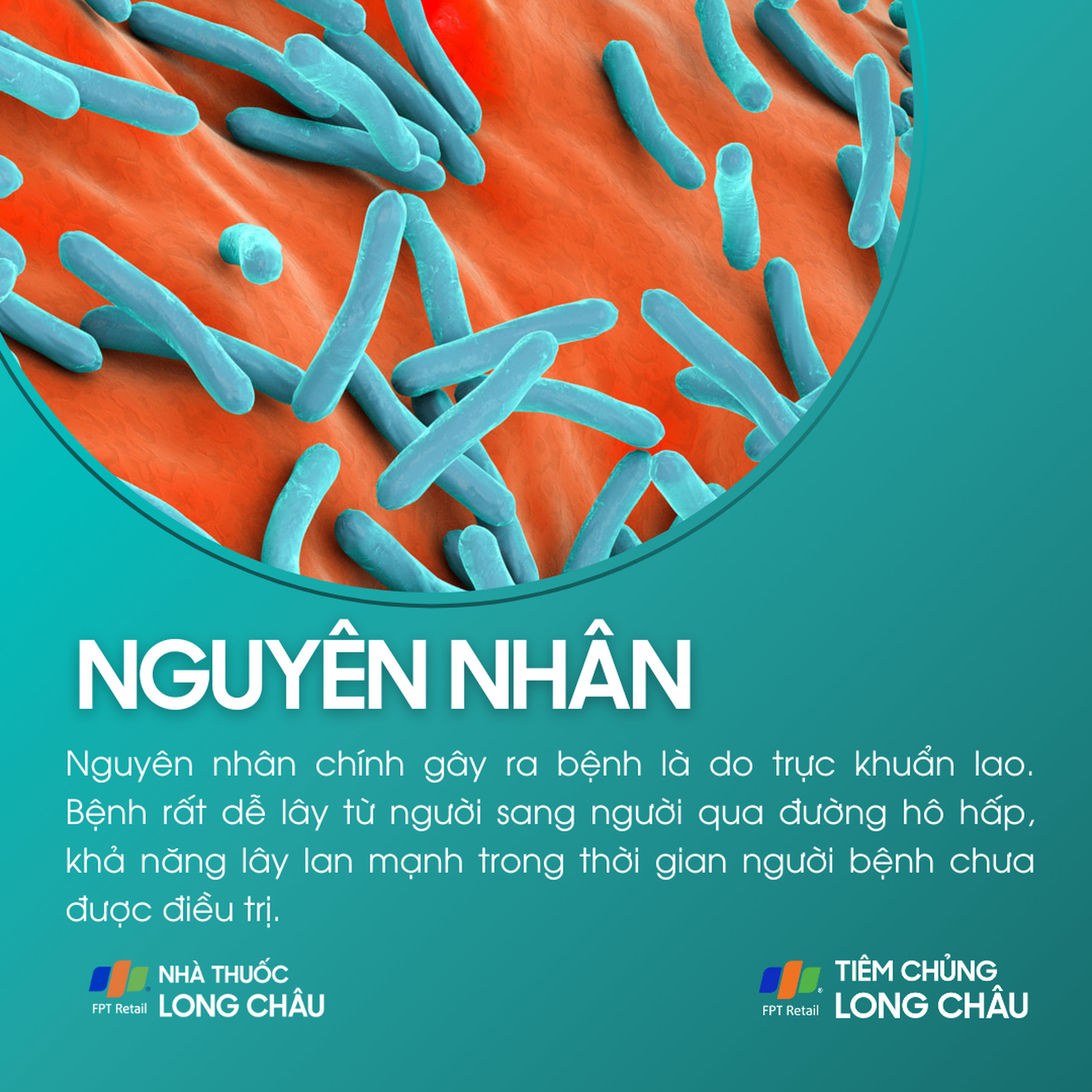 lao_phoi_3_9bfd4c0a31