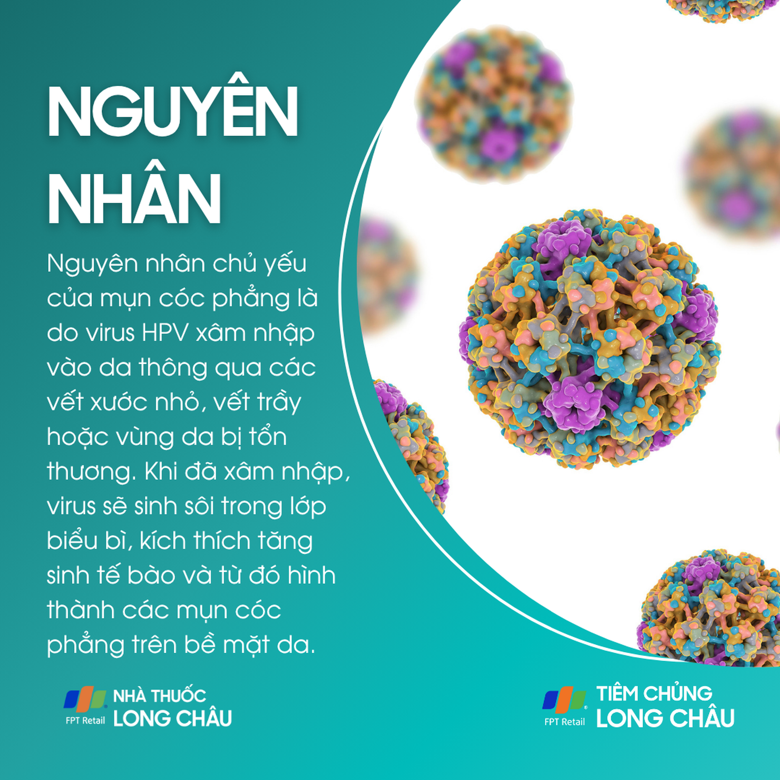 mun_coc_phang_3_17bd0ee66f