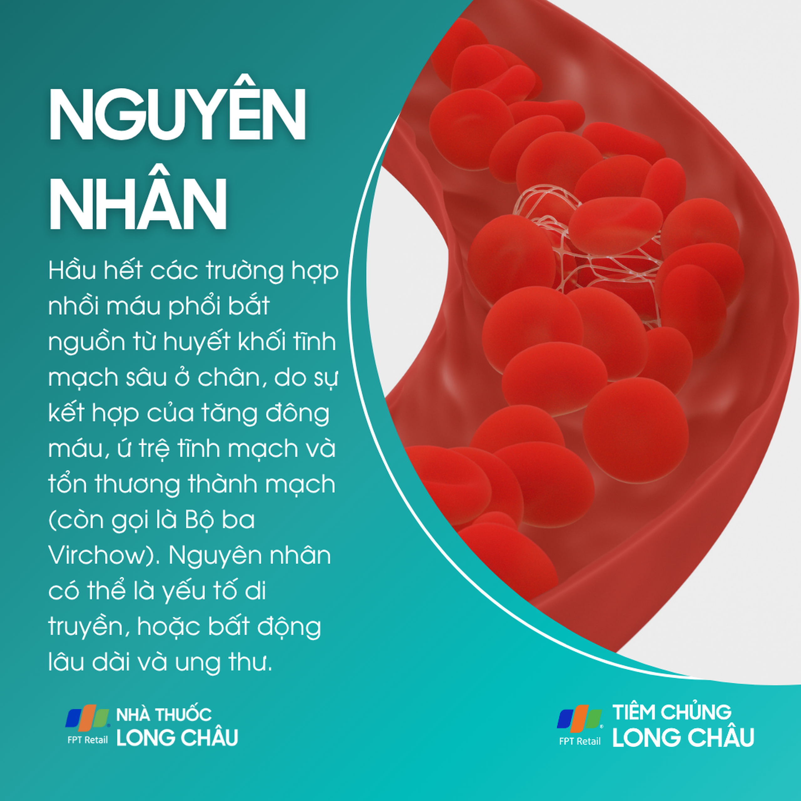 nhoi_mau_phoi_3_d859ffd16b