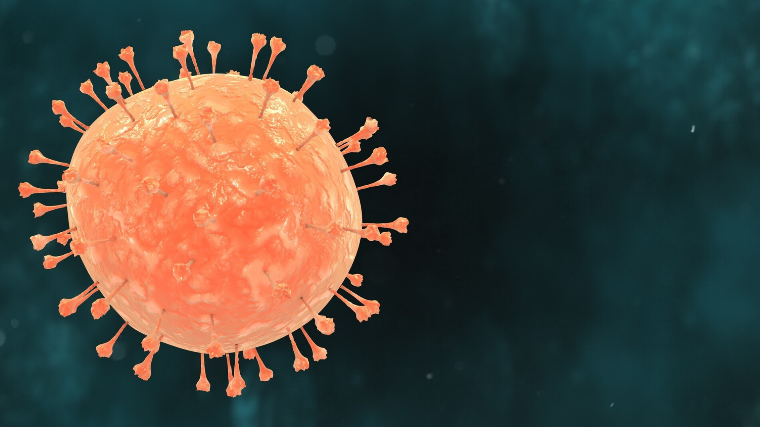 phong-benh-virus-hop-bao-ho-hap-rsv (5).png